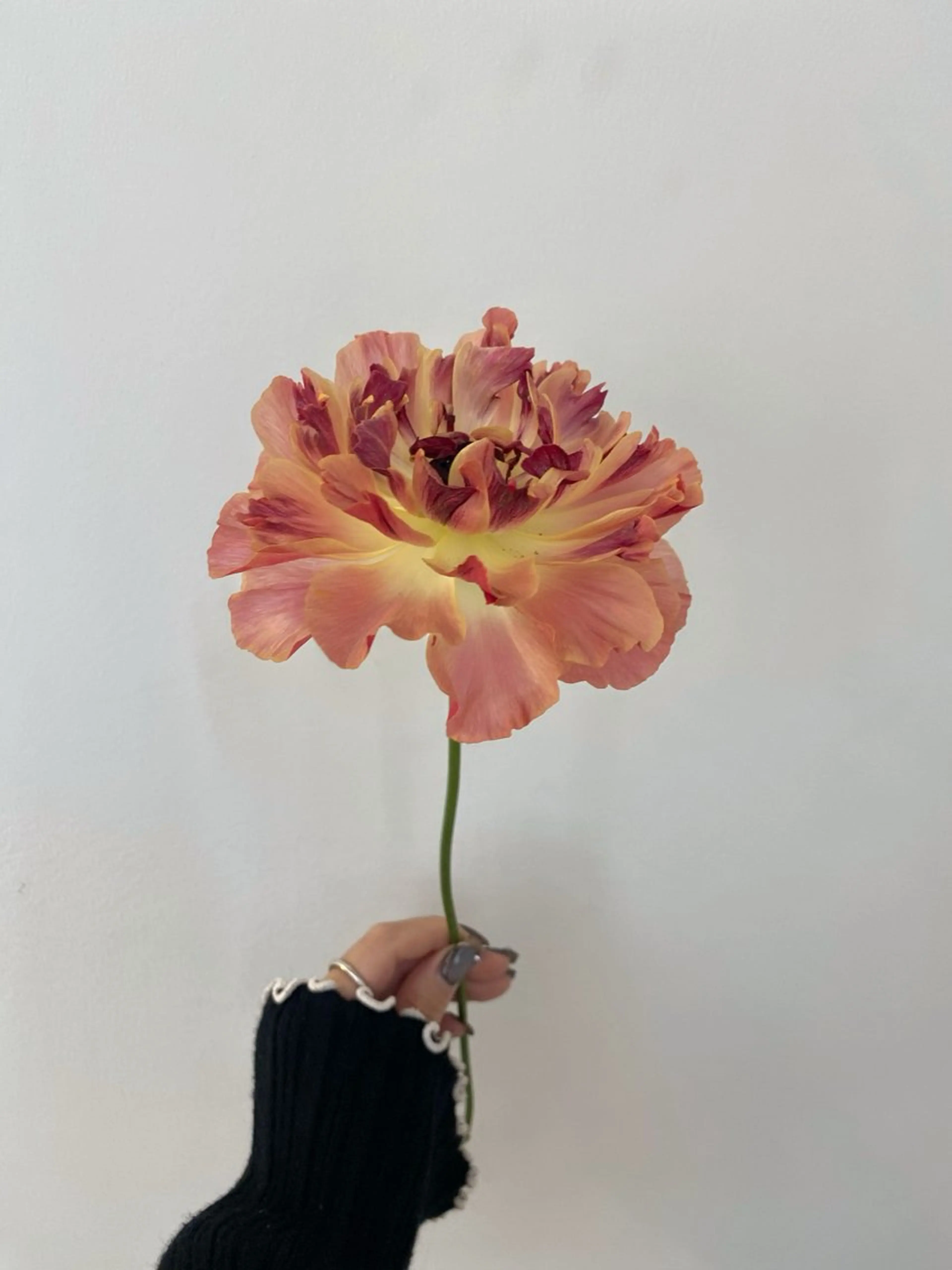 ヘアカラー トリートメント 🌻花屋併設🌻濱 幸帆のヘアスタイル