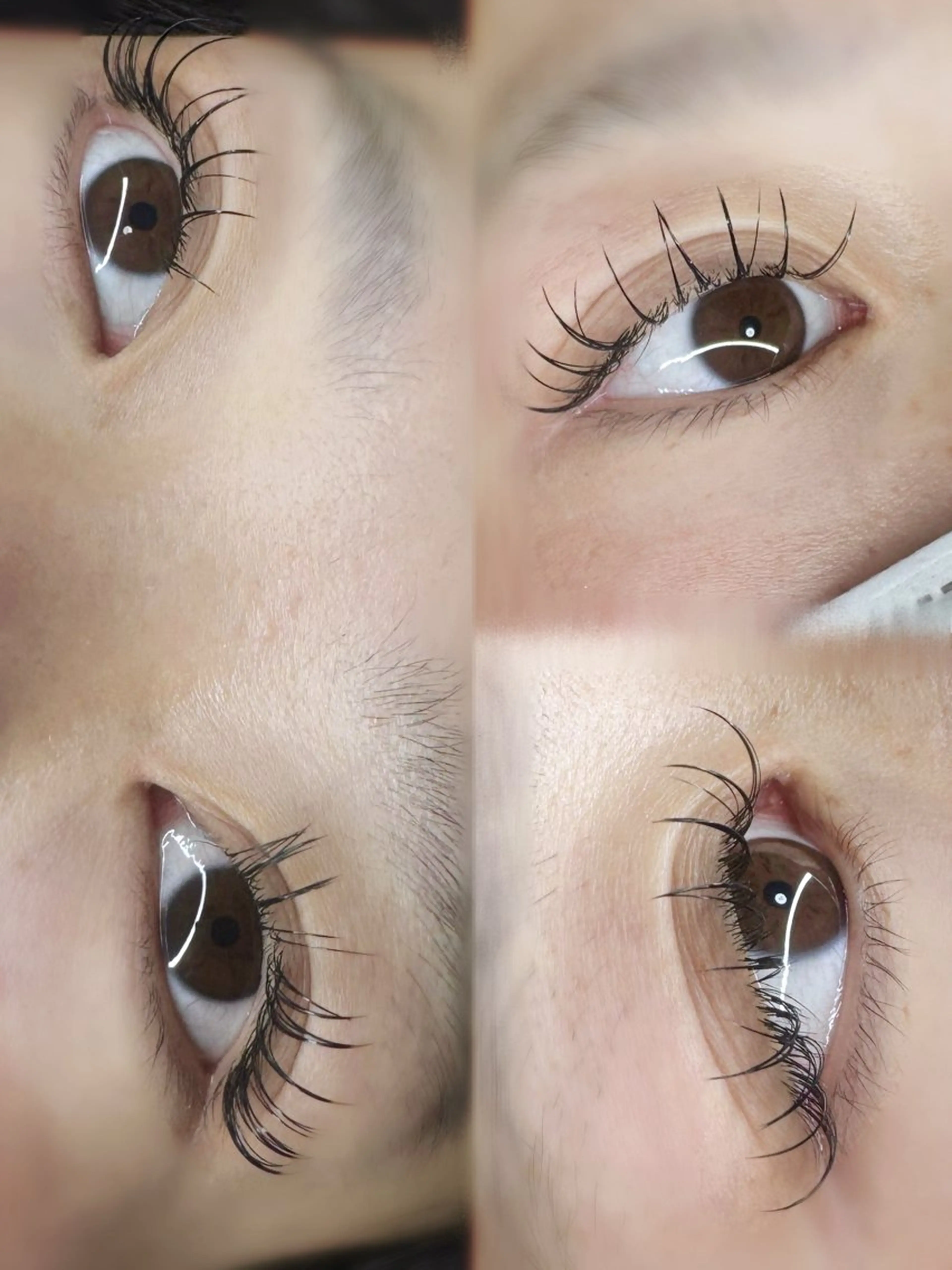 マツエク・マツパ マツエク eyelash Yuaのマツエク・マツパデザイン