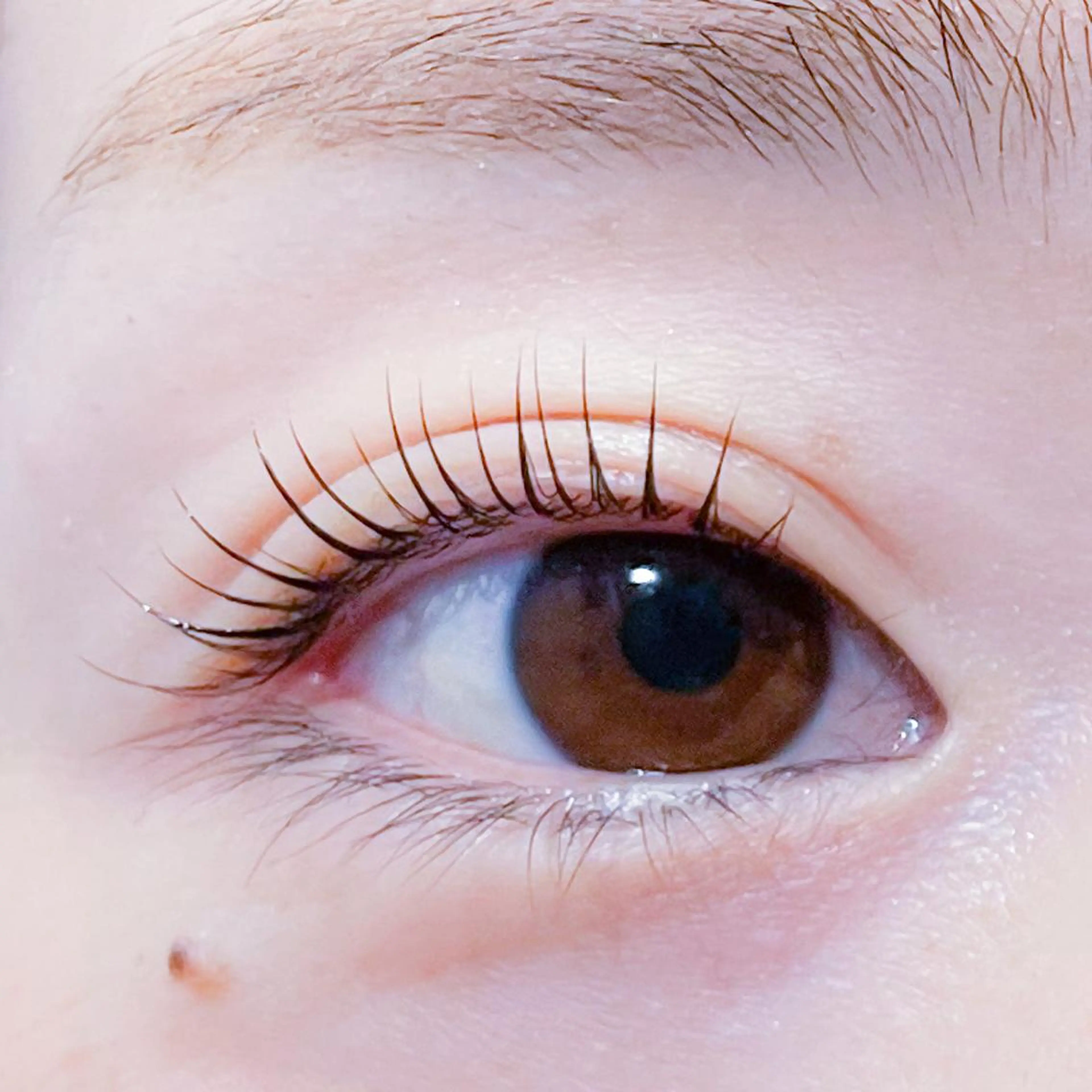 マツエク・マツパ 飯田/Tomo's HairDesignのマツエク・マツパデザイン