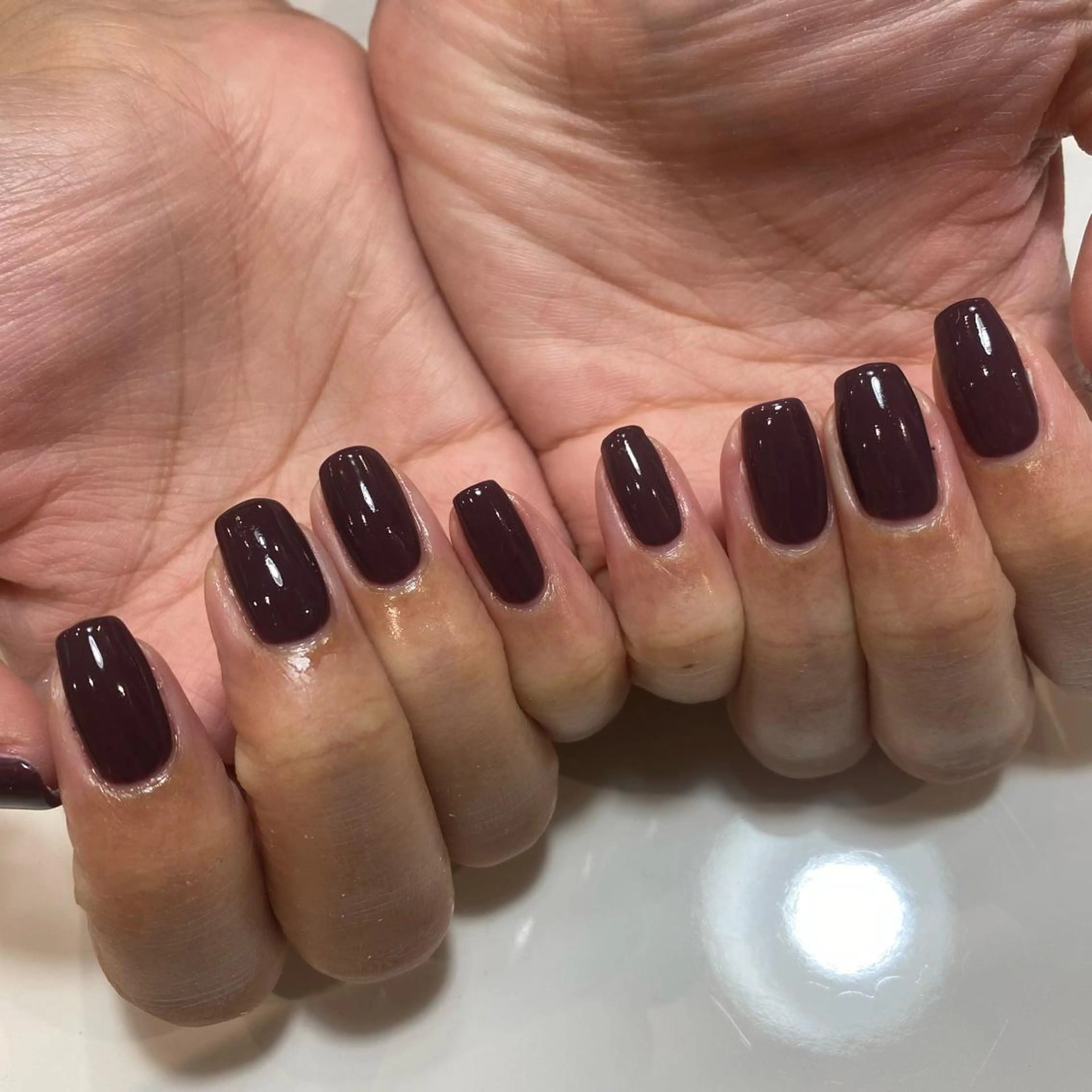 🦋ワンカラーオフ込み🦋の写真