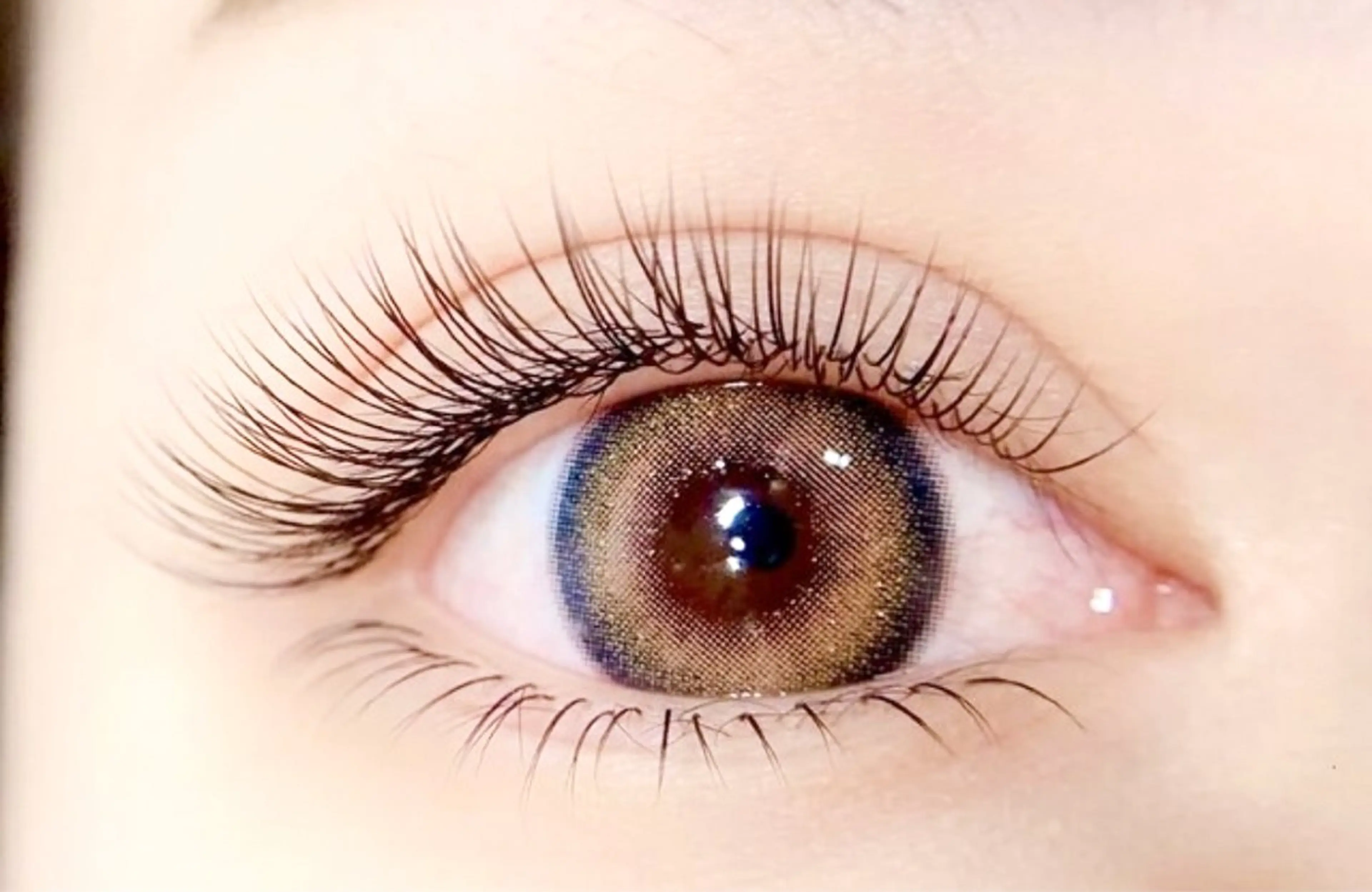 【✨LEDマツエク👀】120本以内付け放題‼️汗、水に強くモチが最強🔥の写真