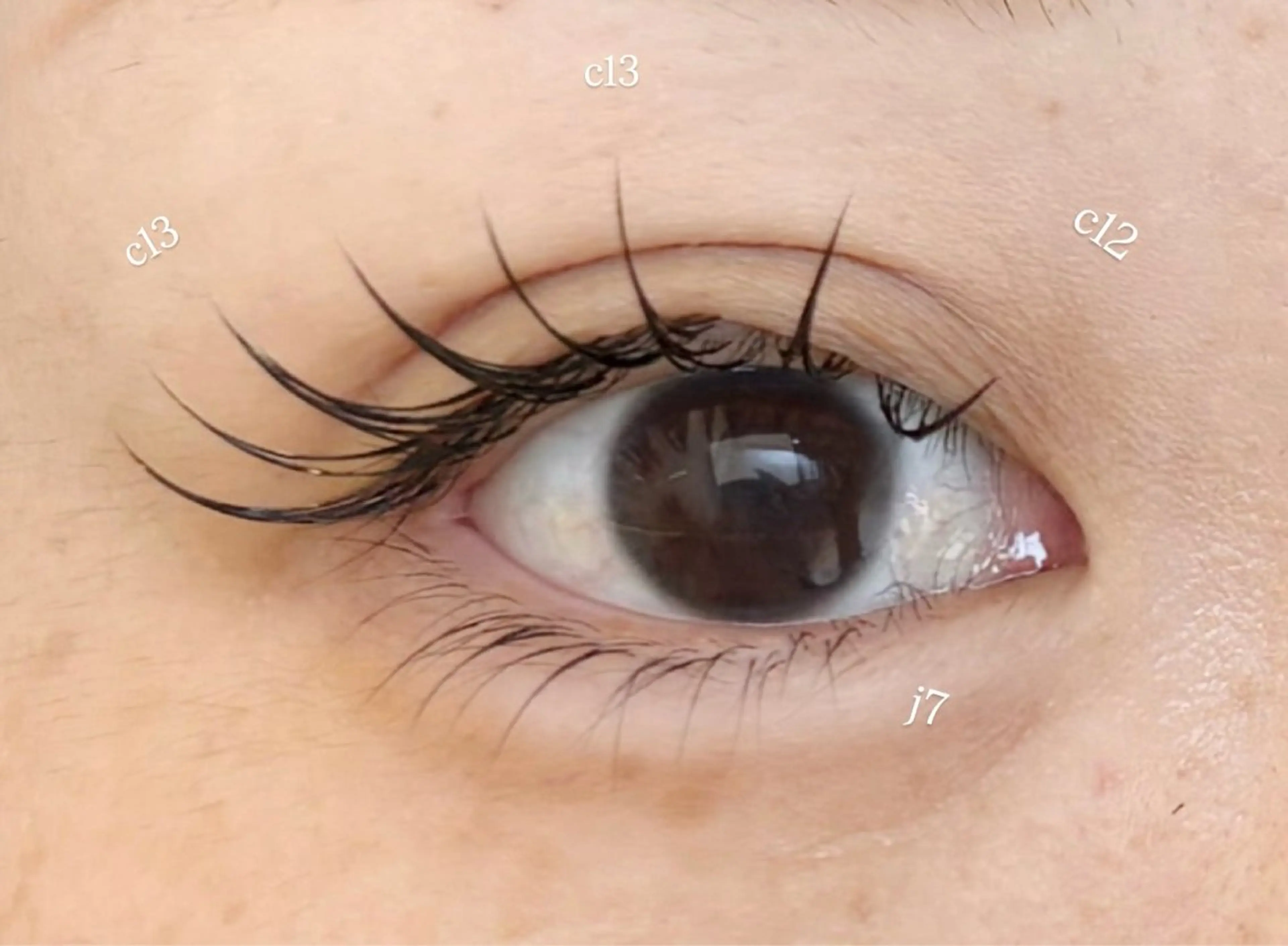 マツエク・マツパ 神田 紗江のマツエク・マツパデザイン