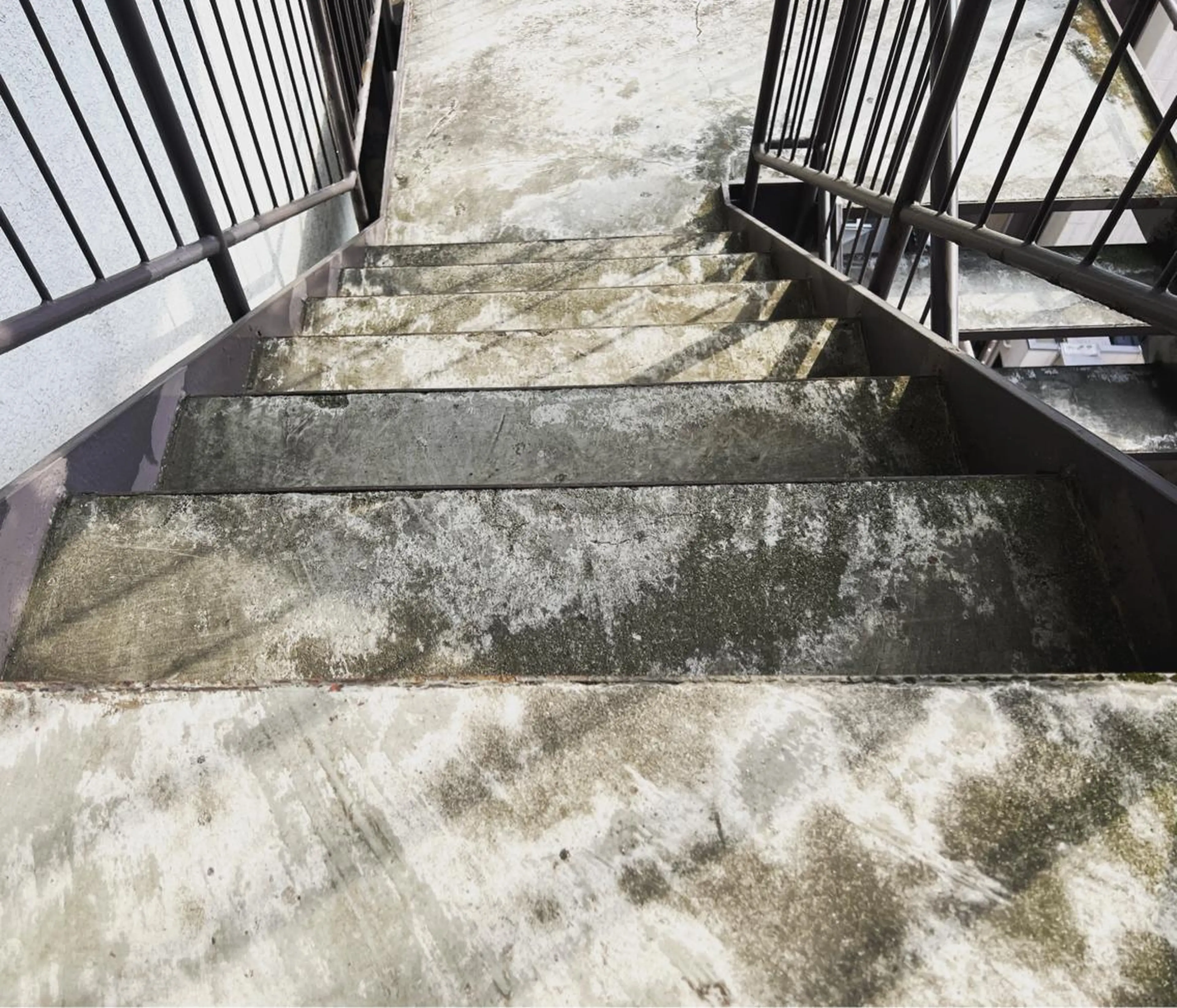 マツエク・マツパ アイブロウ ワックス脱毛 その他(アイブロウ) 海外風まつげ眉毛 恵比寿｜masayoのマツエク・マツパデザイン