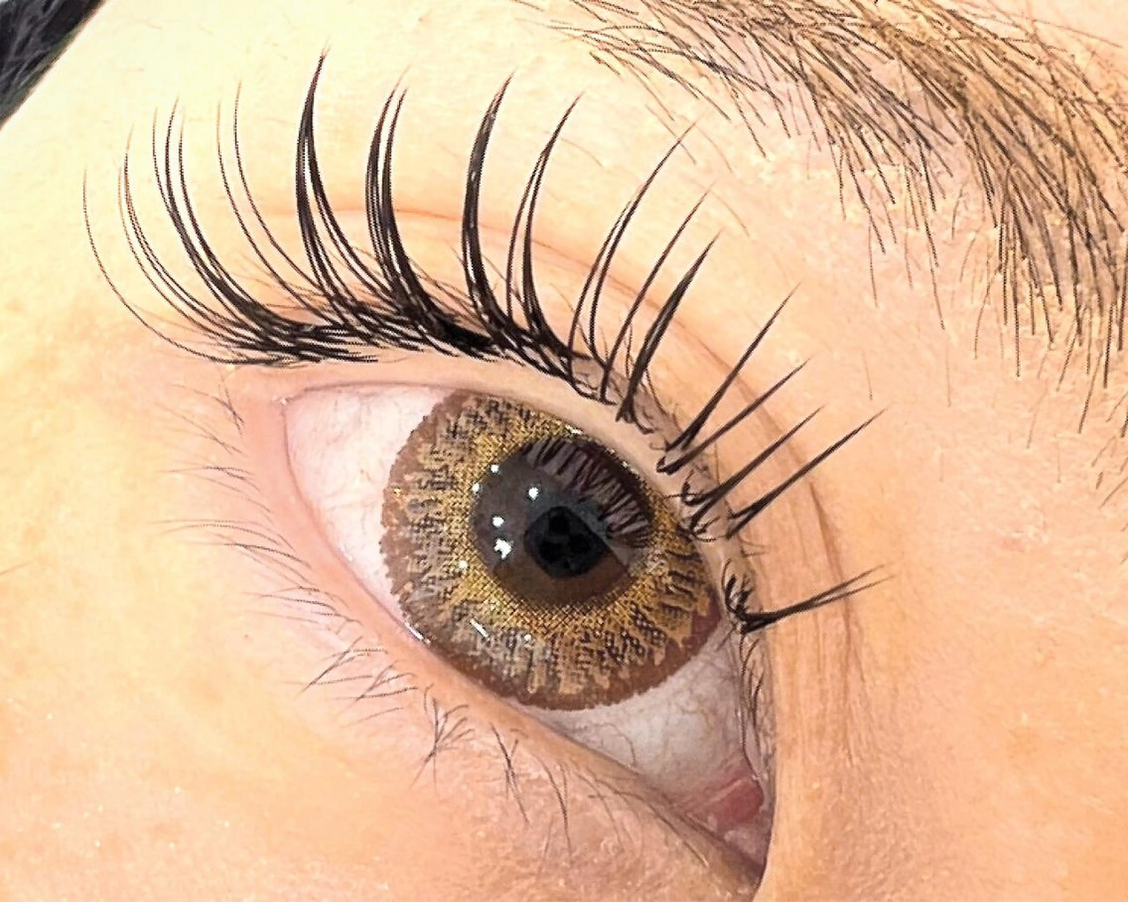 マツエク・マツパ まつ毛、ネイル& 脱毛サロン　Lのマツエク・マツパデザイン