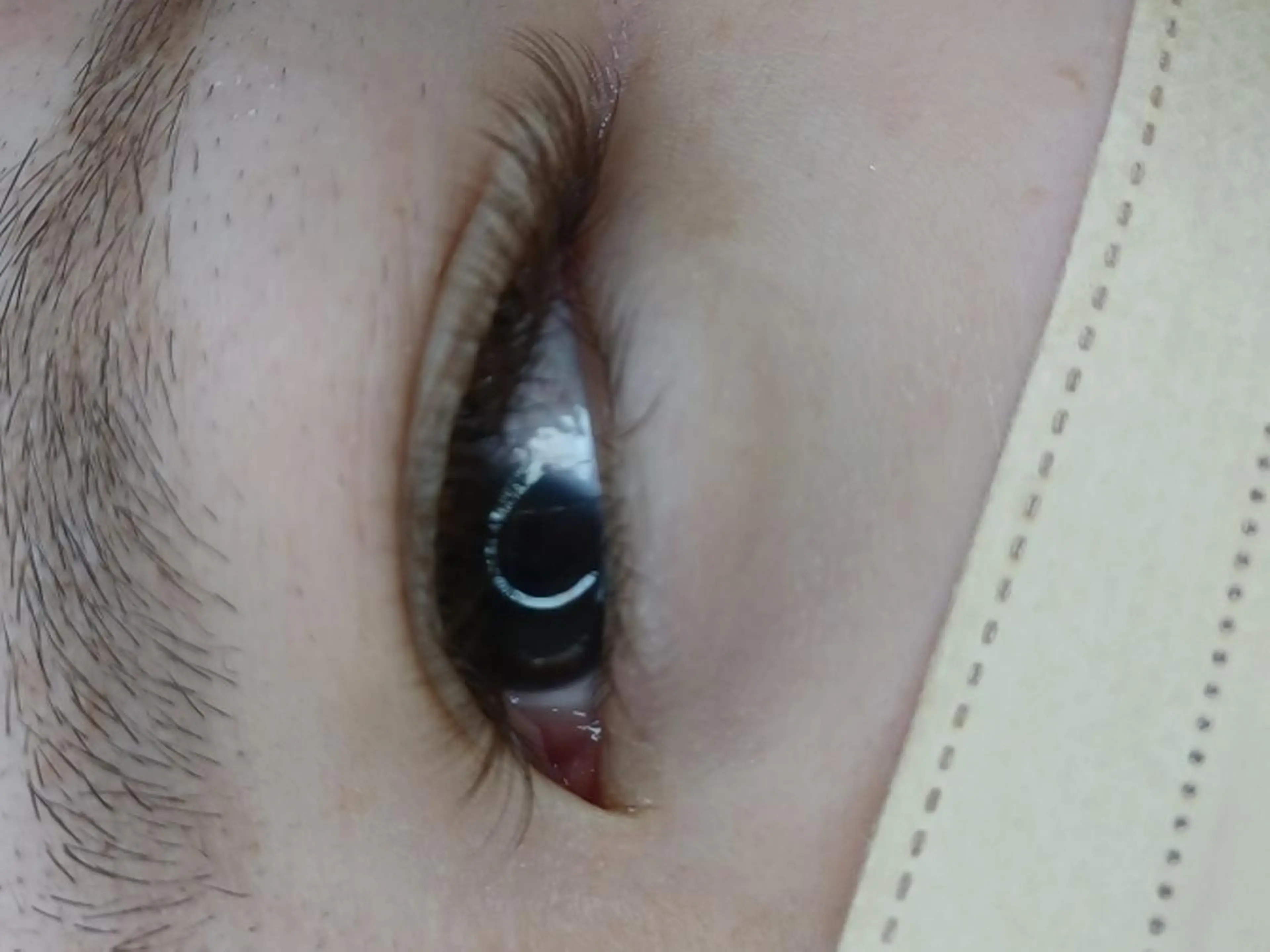 マツエク・マツパ カラーマツエク ボリュームラッシュ マツエク 岡崎 良美のマツエク・マツパデザイン