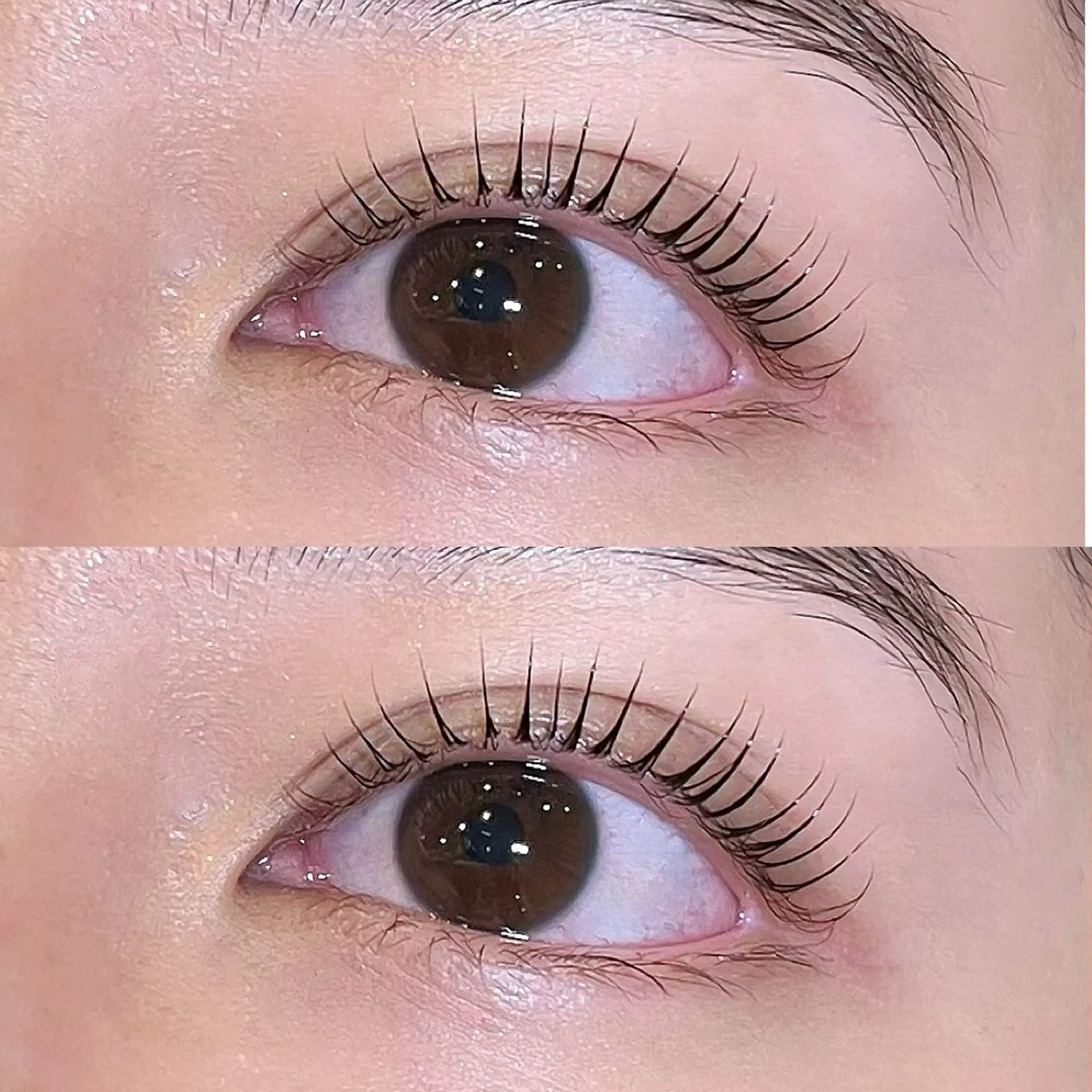 マツエク・マツパ 〰️sofa🪧 Kiguchiのマツエク・マツパデザイン