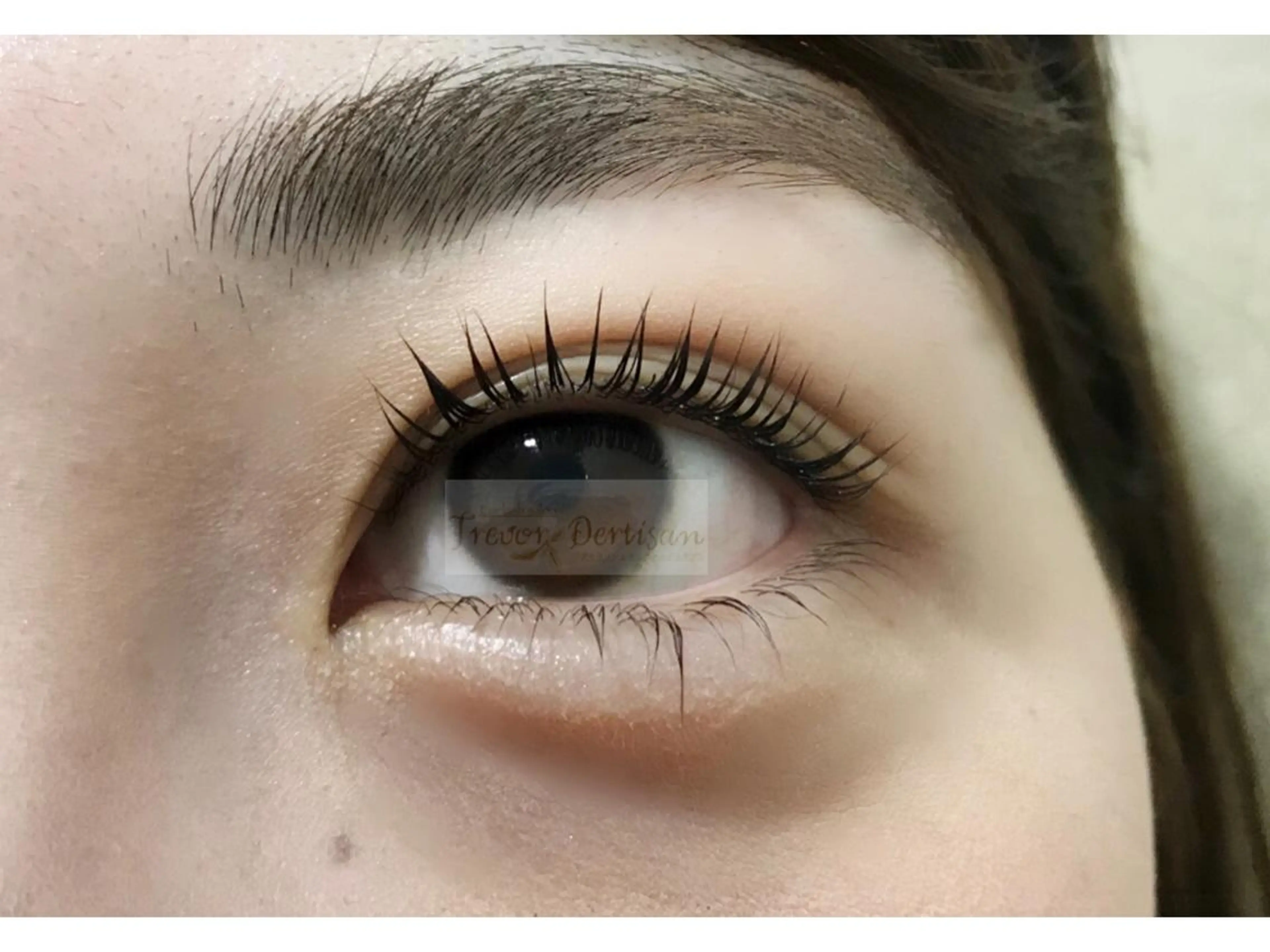 マツエク・マツパ トレヴァーデルチザン inuiのマツエク・マツパデザイン