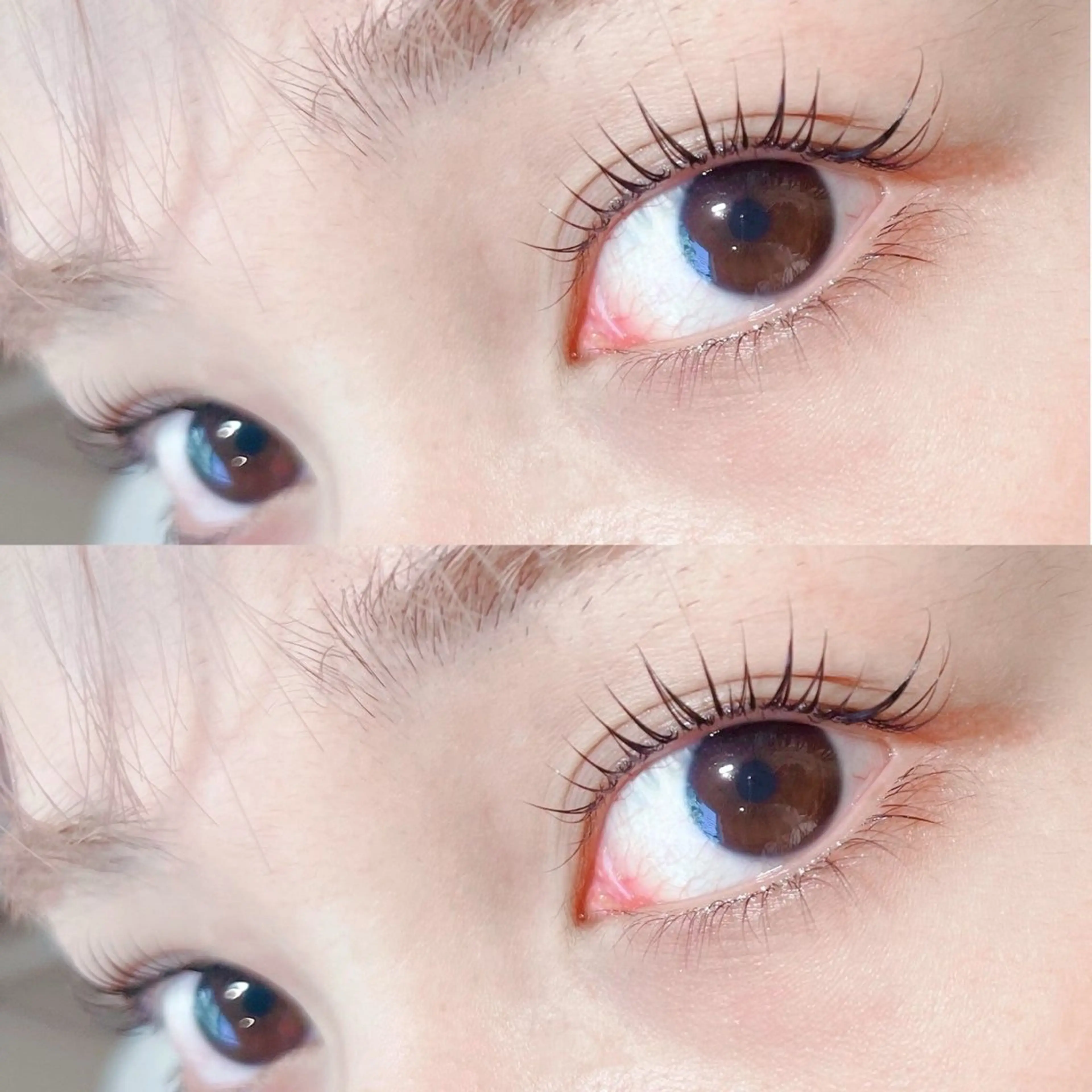 マツエク・マツパ マツパ north pole 三条のマツエク・マツパデザイン