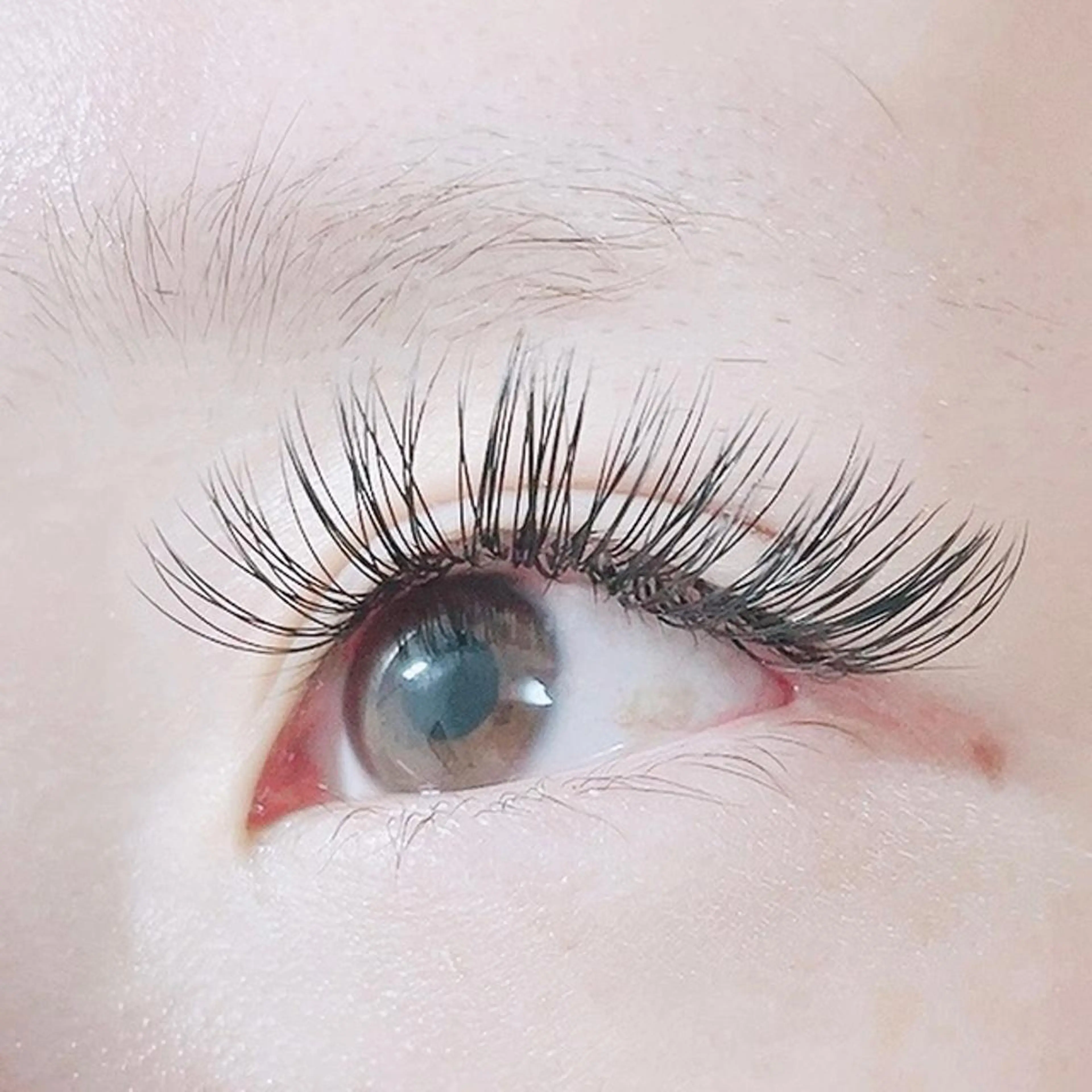 マツエク・マツパ Dカール ナチュラル アイラッシュサロンfleur🍀所属・🍀fleur🍀 束感/ワンホン/杉浦のマツエク・マツパデザイン