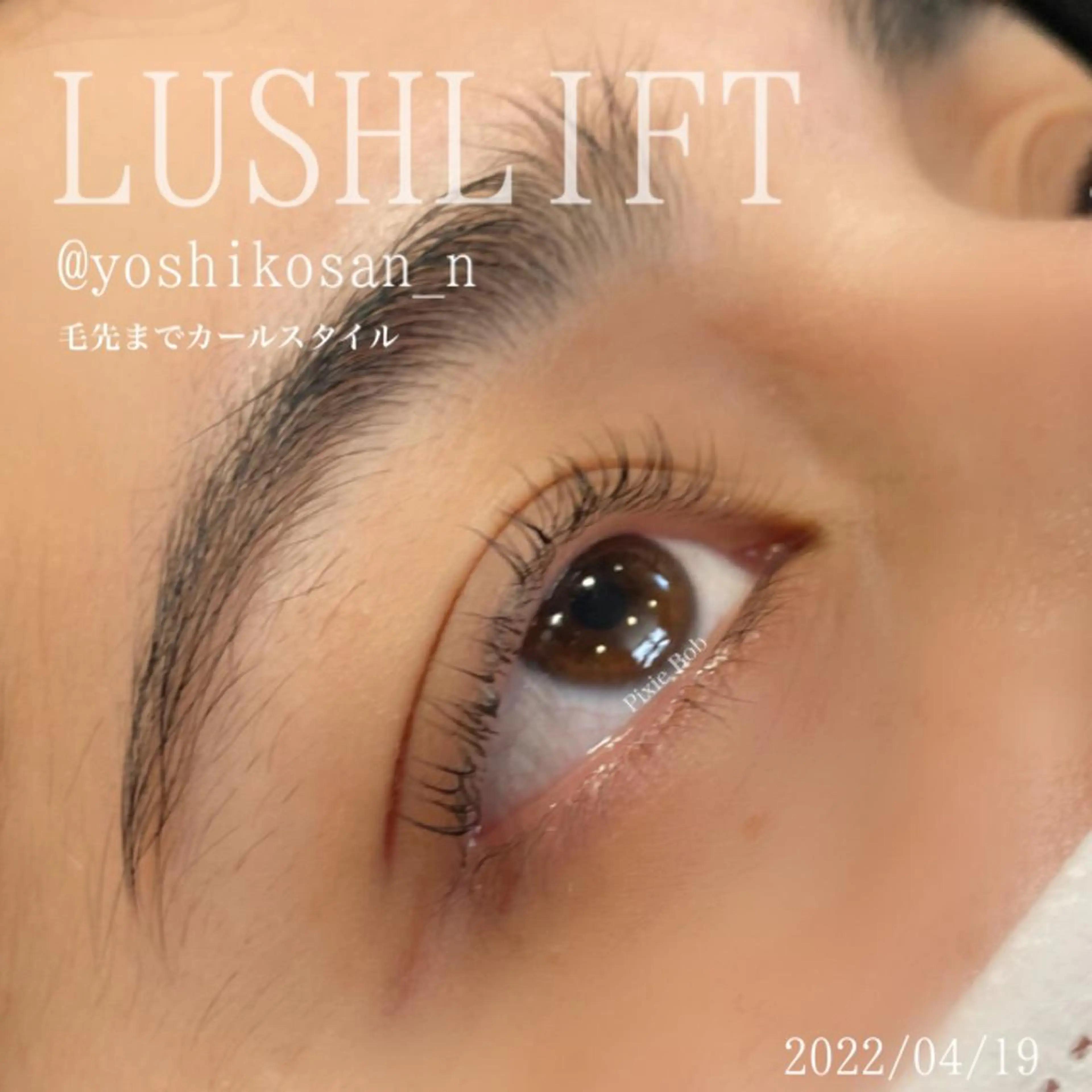 マツエク・マツパ Pixie Bob 🐈‍⬛　位田のマツエク・マツパデザイン