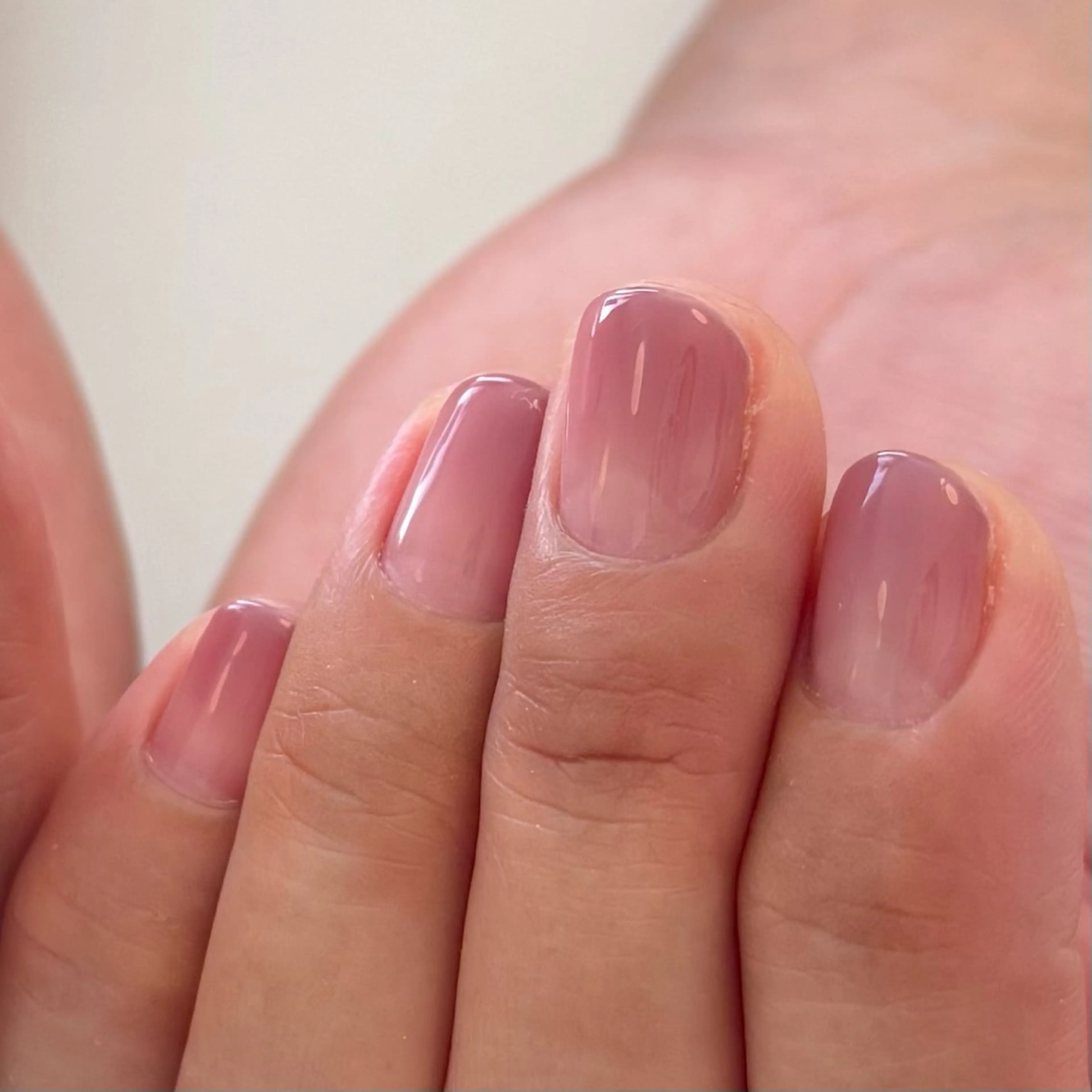 【オフなし】グラデーション🫧🍃の写真