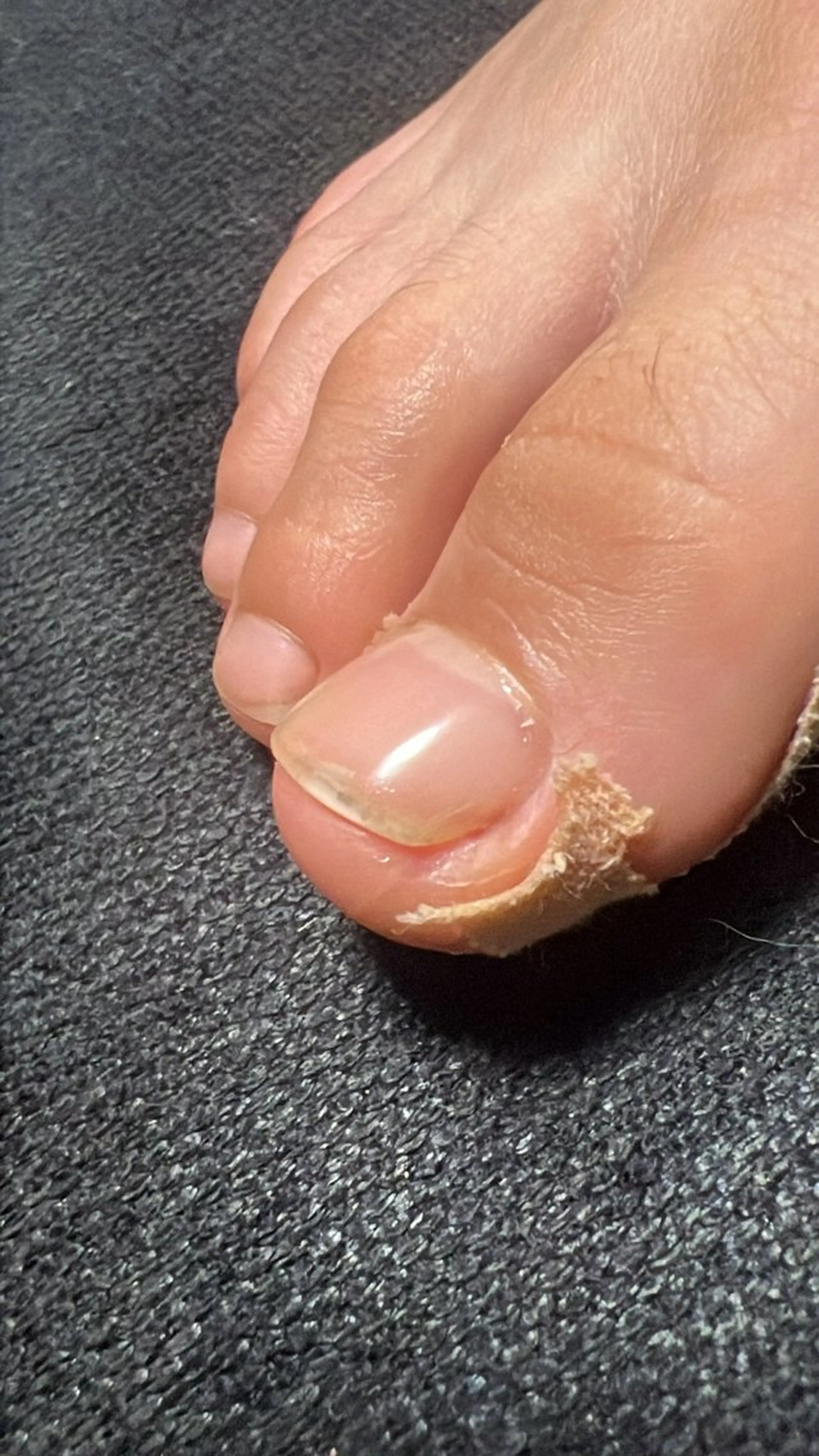 ネイル ジェルネイル Belulu所属・Belulu ベルルのネイルデザイン