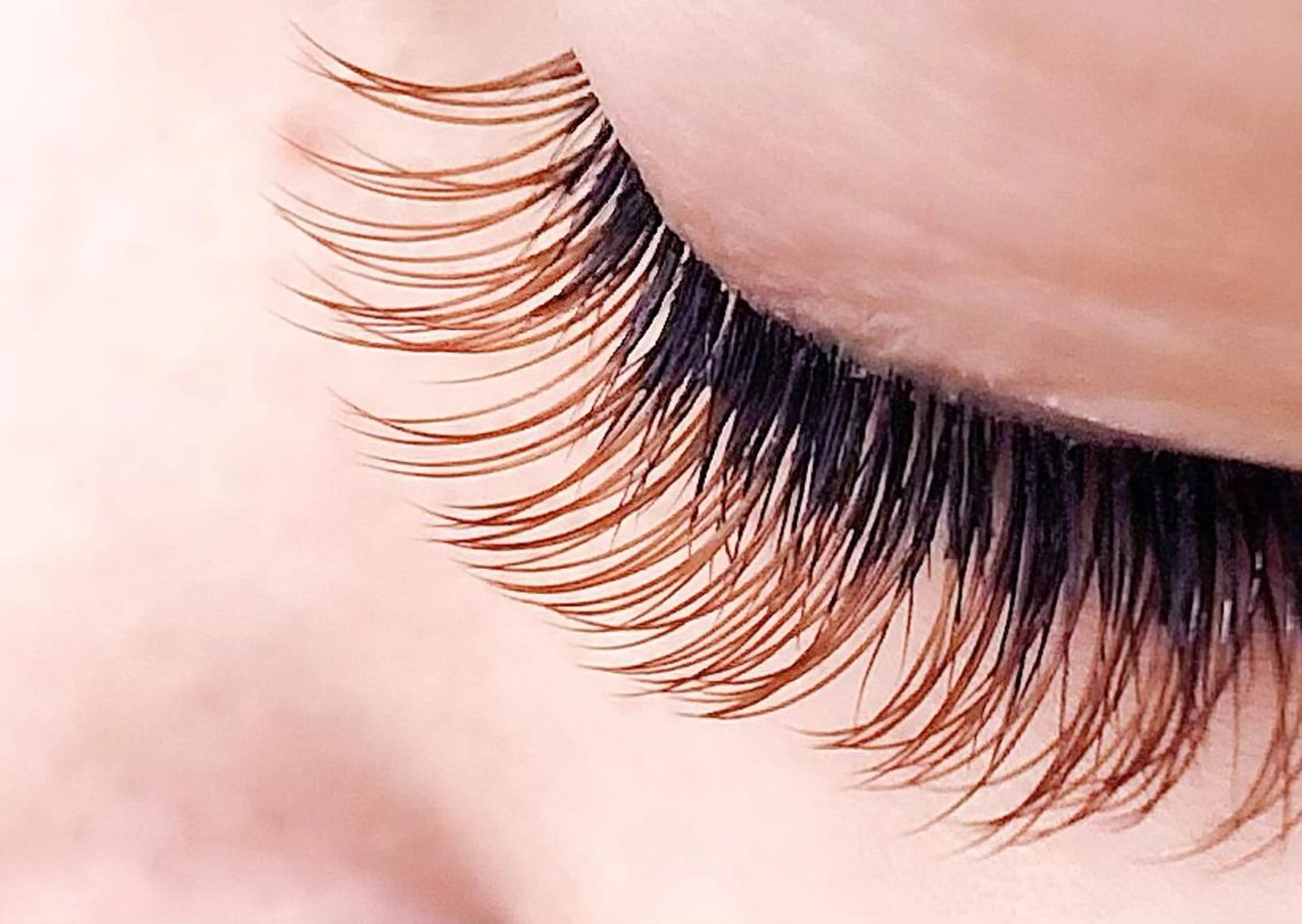 マツエク・マツパ Cカール カラーマツエク セーブル maple Lino(メイプル　リノ)所属・maple Lino 吉野のマツエク・マツパデザイン