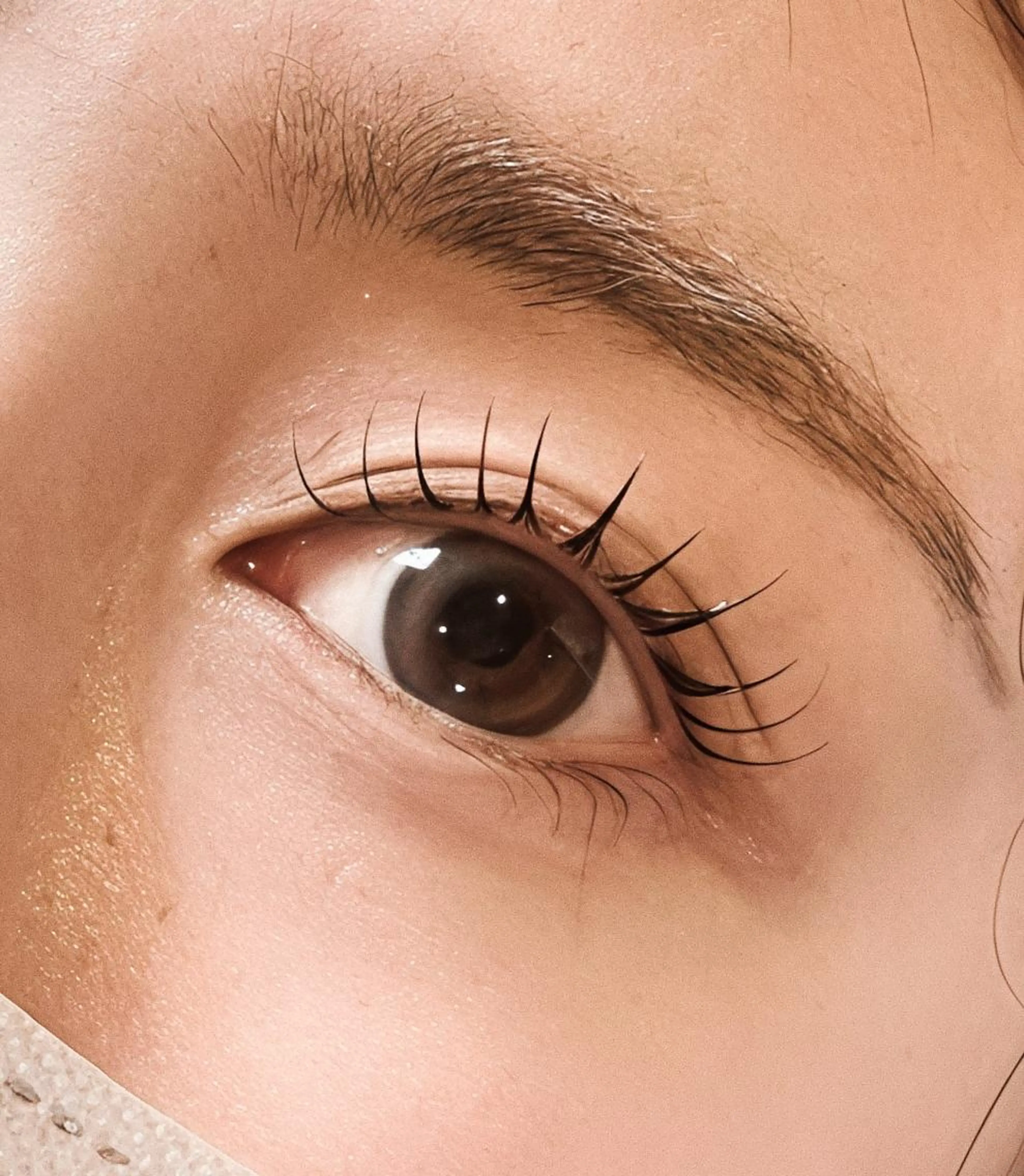 【当日限定】まつげパーマ（トリートメント付）の写真