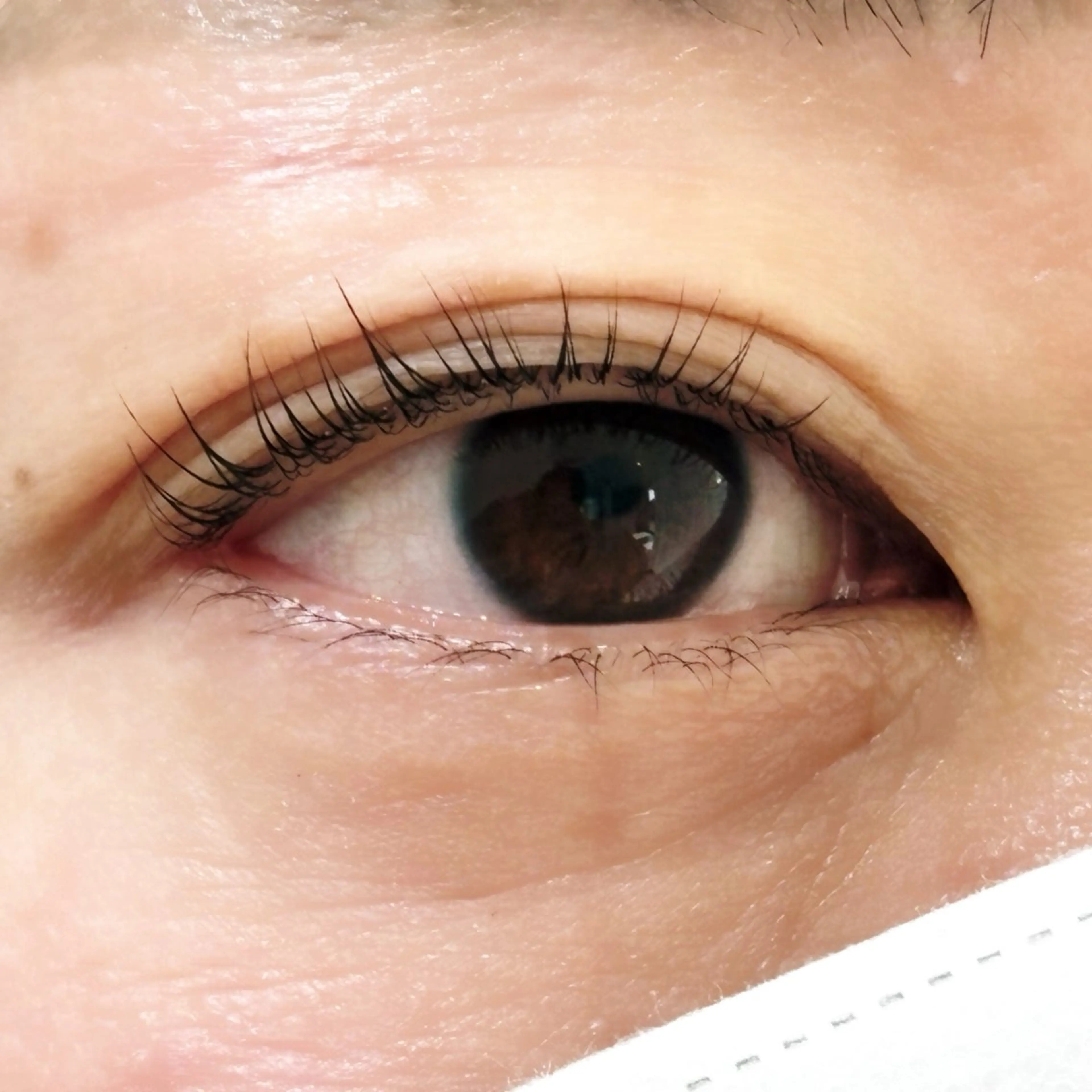 マツエク・マツパ Ciluna ☆のマツエク・マツパデザイン