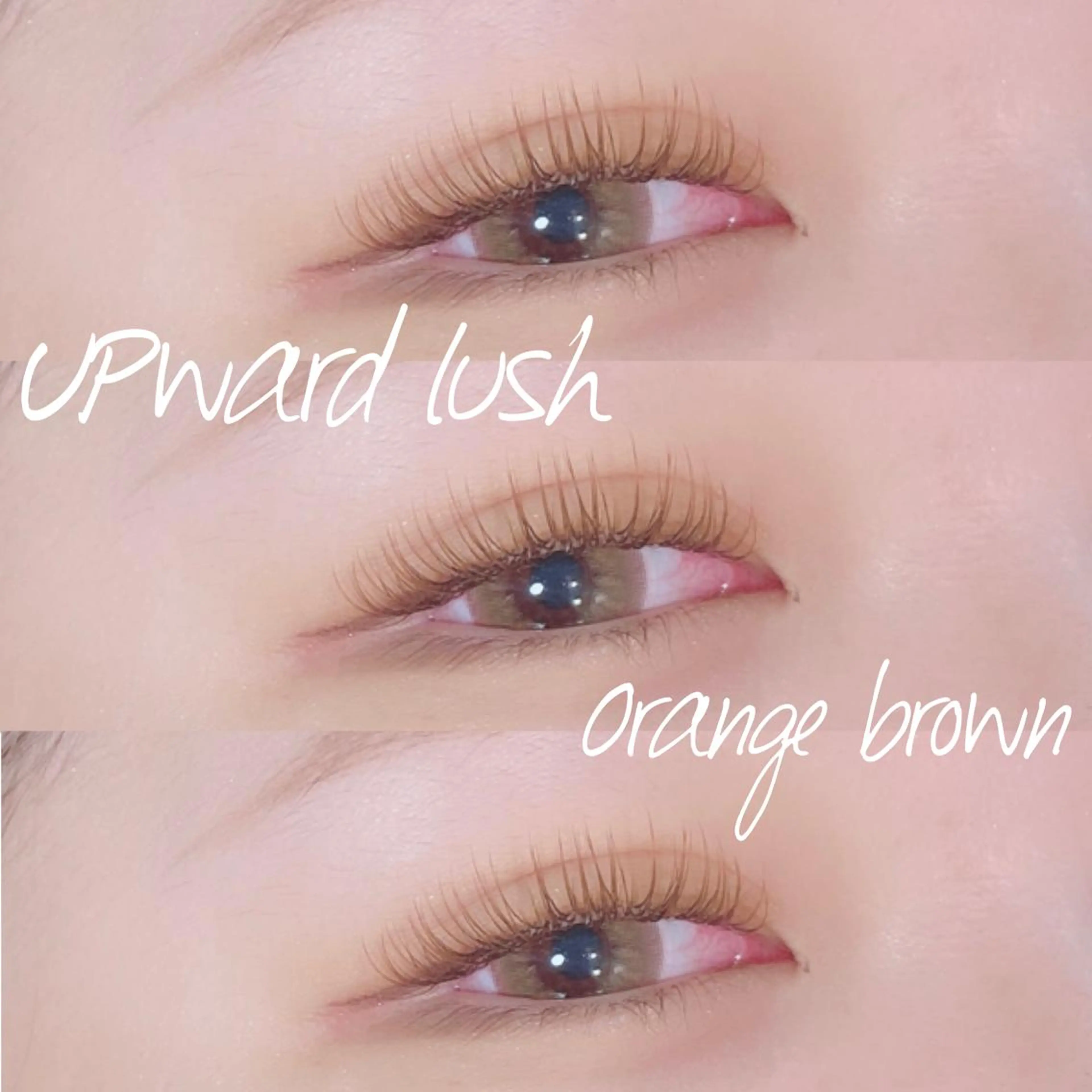 マツエク・マツパ LiTA  中央橋店 NIINOの眉毛・アイブロウイメージ