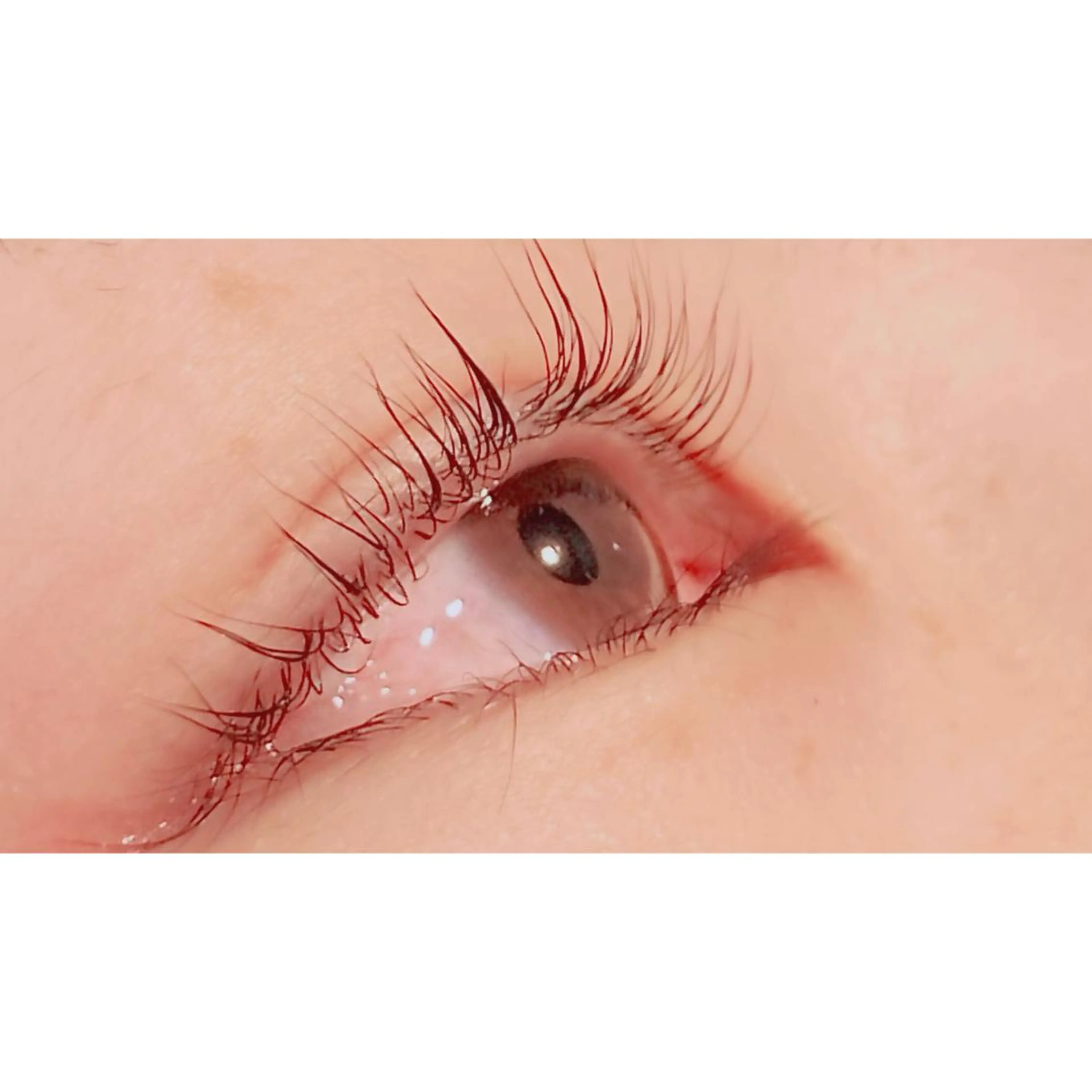 マツエク・マツパ パリジェンヌラッシュリフト Bianca 長津田店　長牛の眉毛・アイブロウイメージ