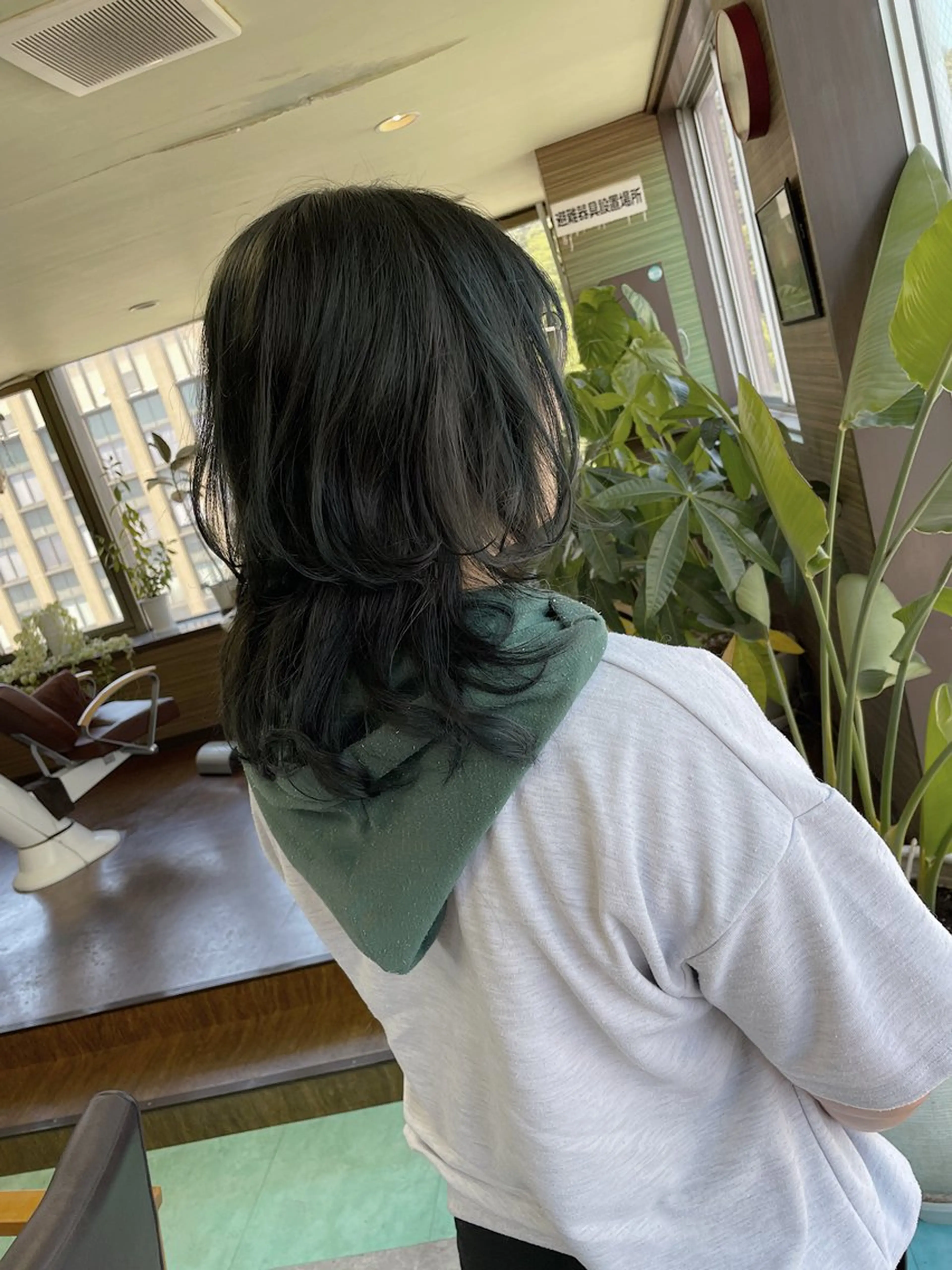 セミロング カラー アッシュ アッシュブラック 黒髪 ボブ レイヤーカット カット ヘアカラー 土居 正季のヘアスタイル