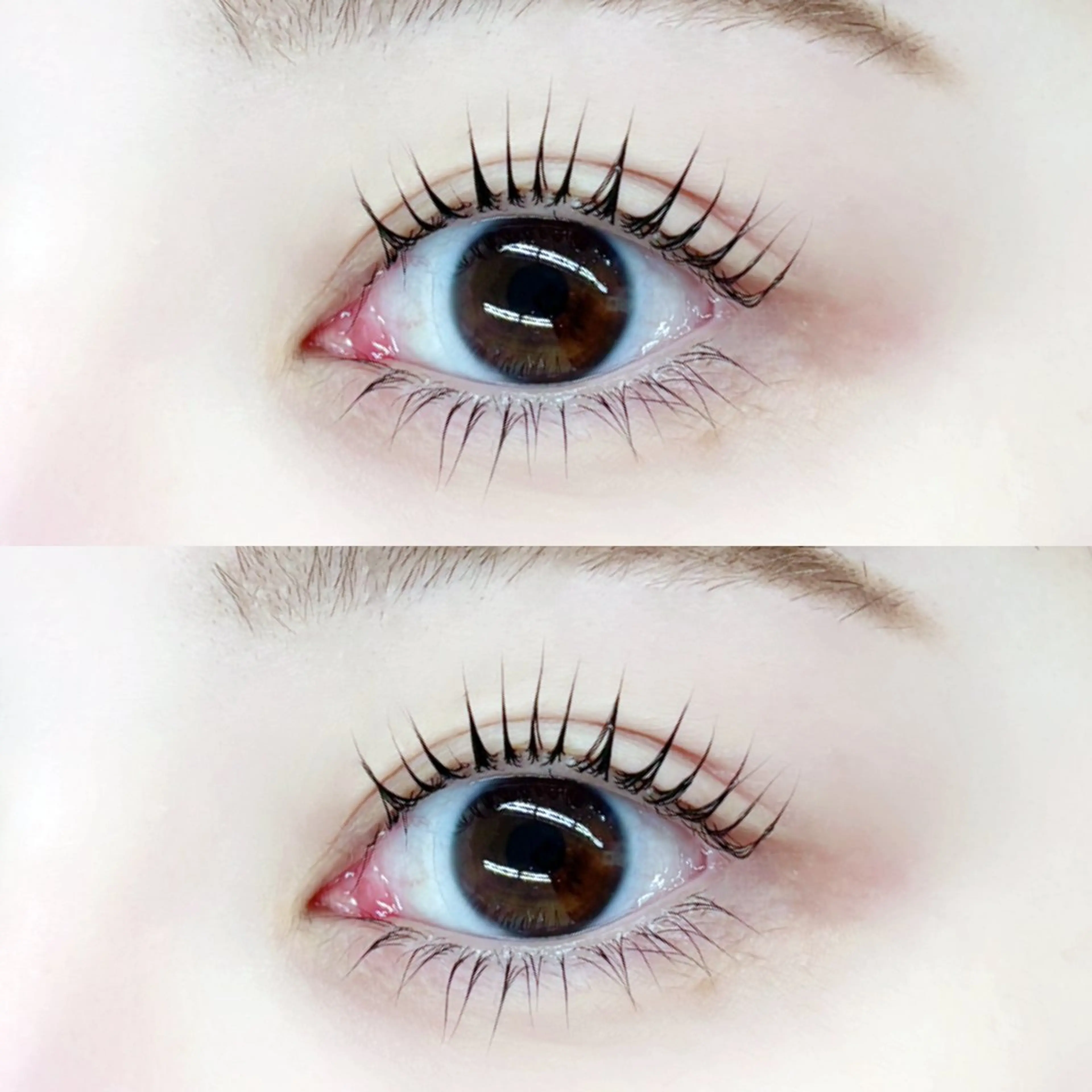 マツエク・マツパ TAKAHASHI 🎀✨韓国風/束感のマツエク・マツパデザイン