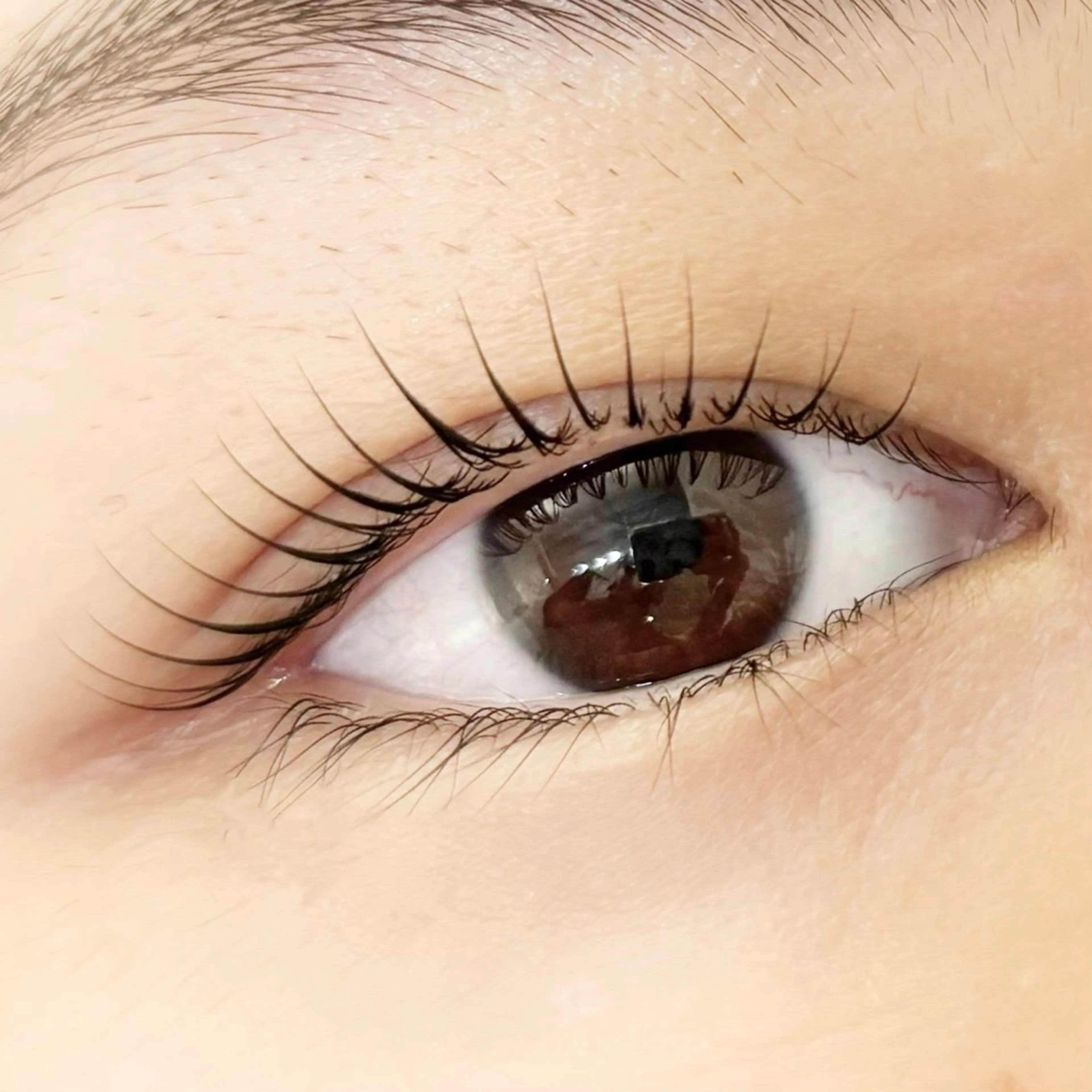 ラッシュリフト（上のみ）の写真