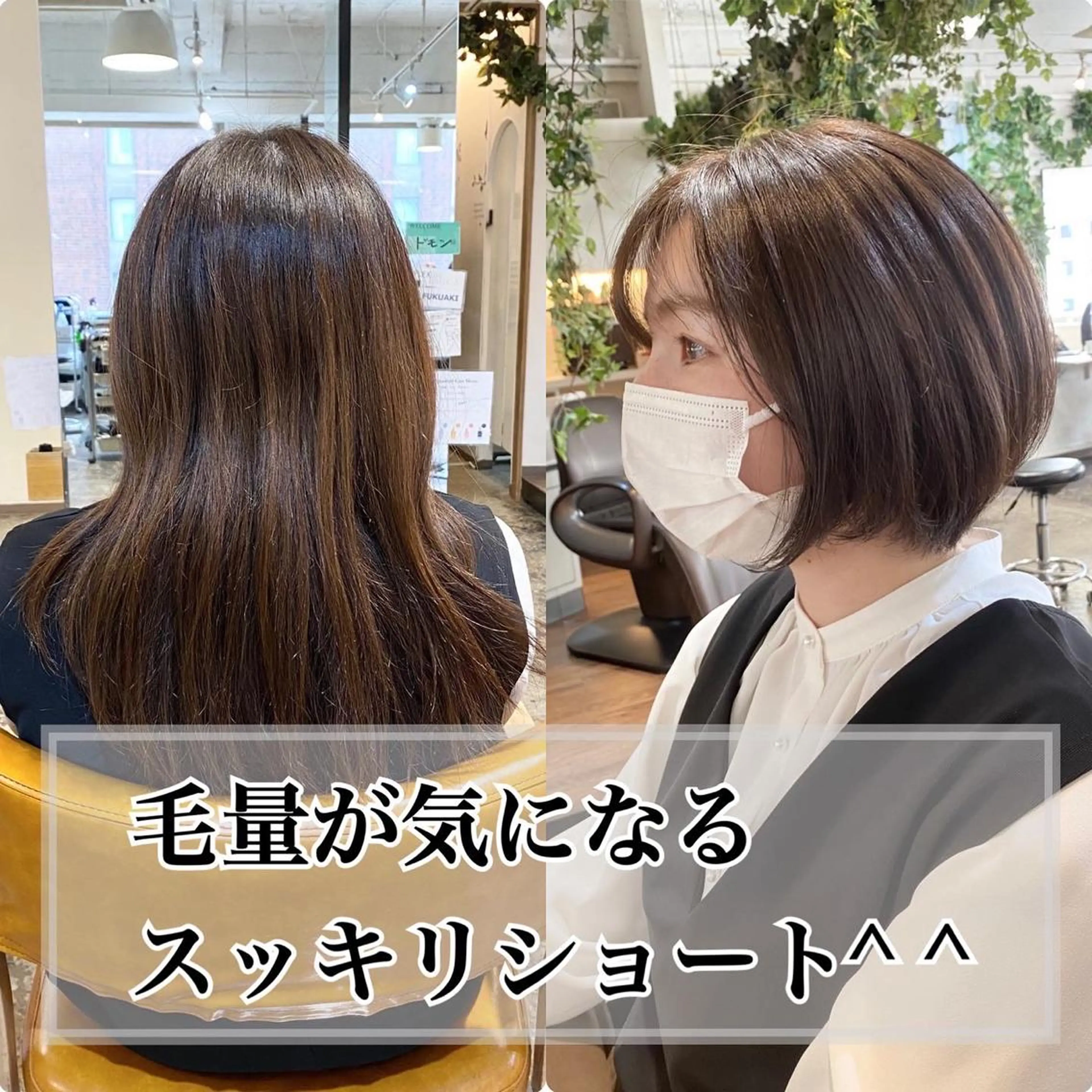 ショート カラー ショート 縮毛矯正 レイヤー🌿FUKUのヘアスタイル