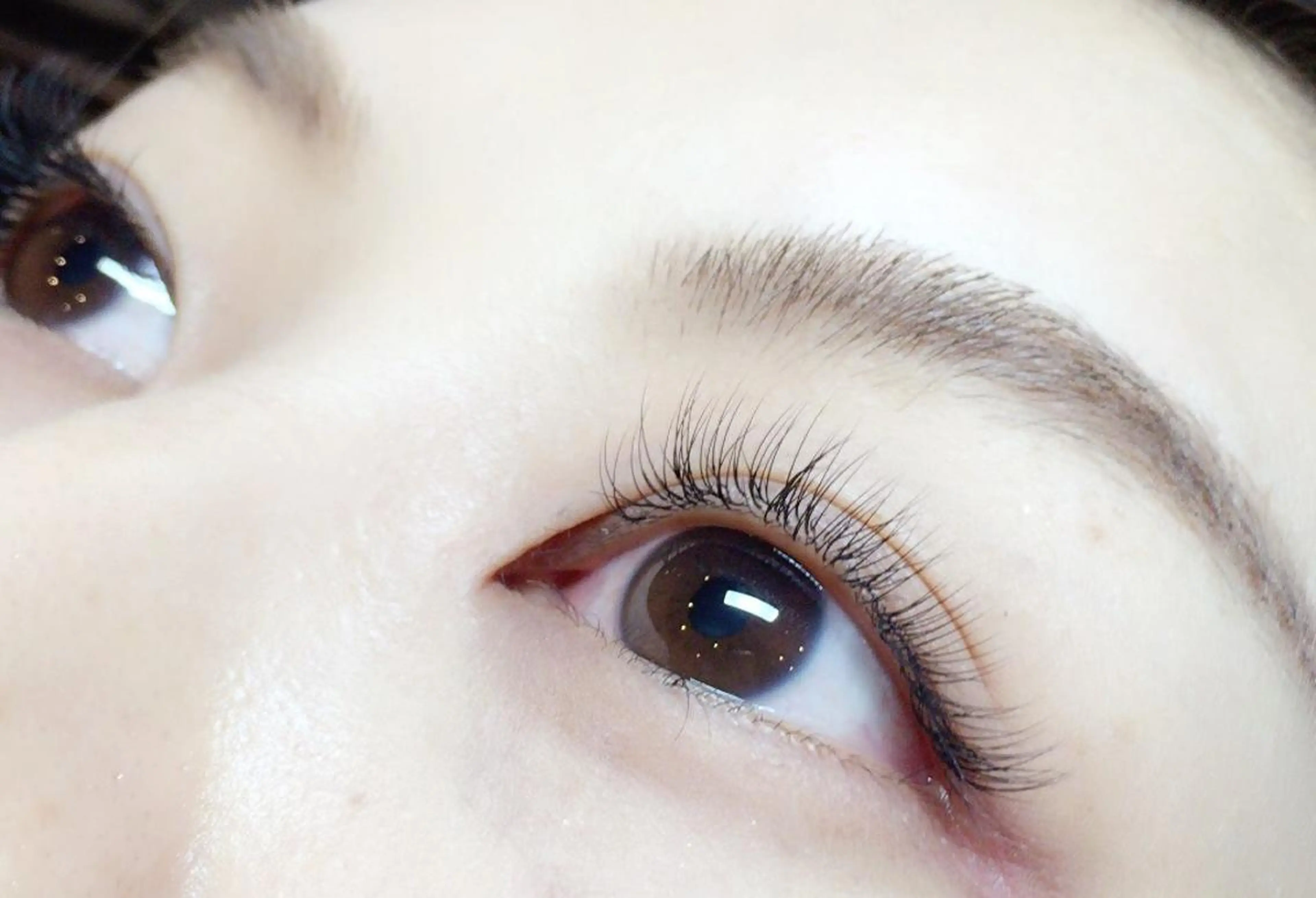 マツエク・マツパ Cカール 研修 モデル募集のマツエク・マツパデザイン