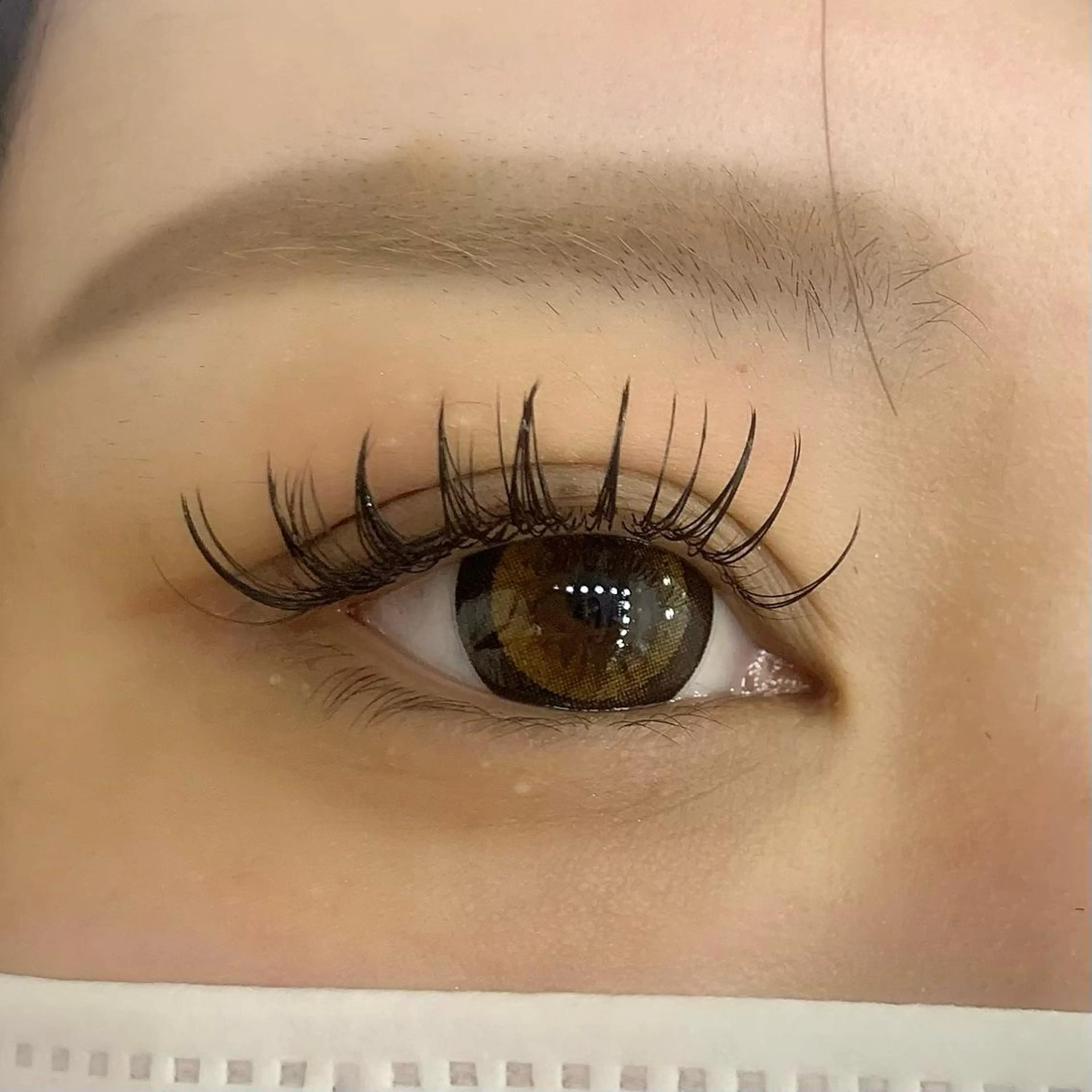 マツエク・マツパ 束感まつ毛 マツエク Celeste Venus所属・🧸Celeste Venusのマツエク・マツパデザイン