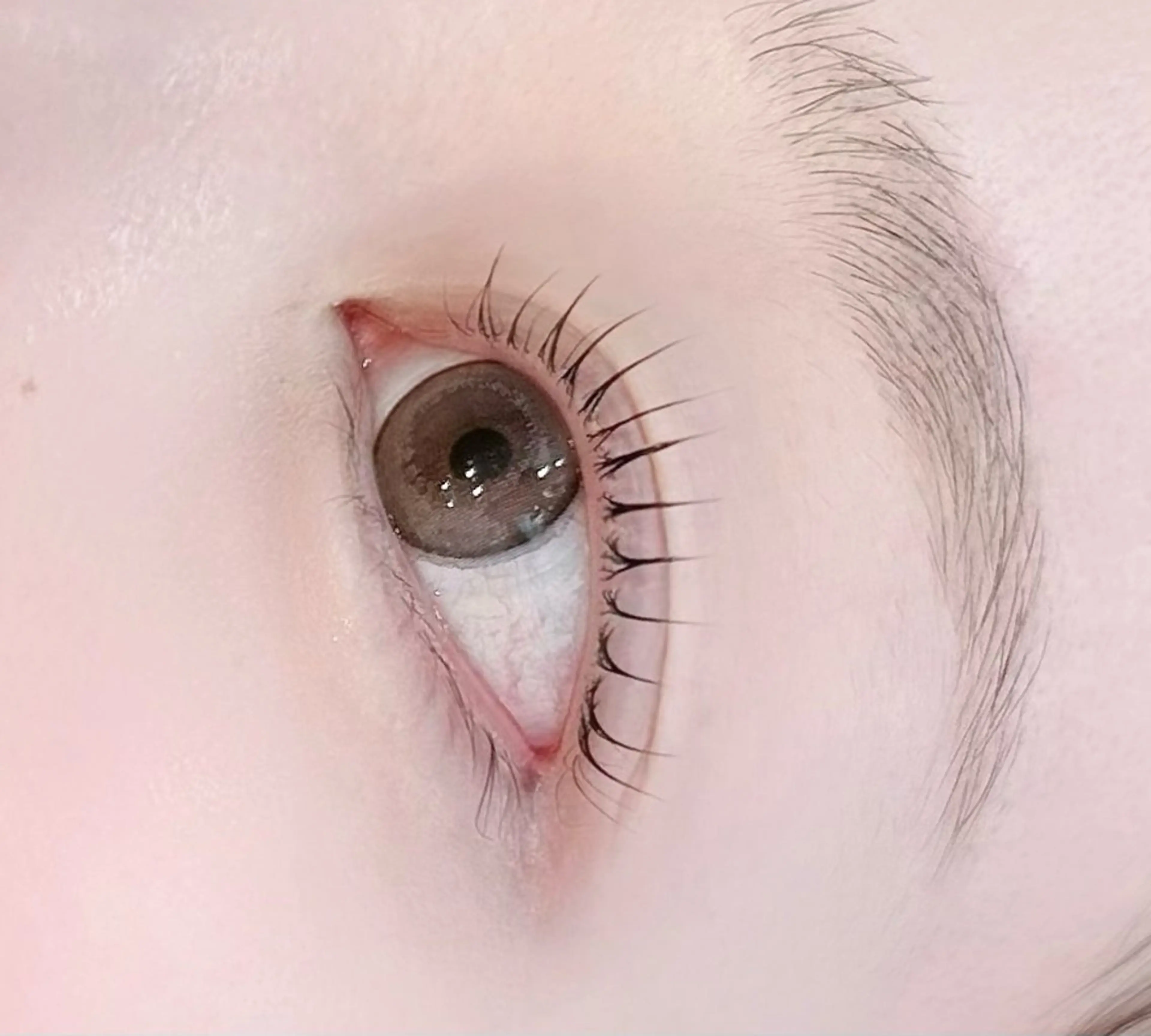 マツエク・マツパ SALON SUZのマツエク・マツパデザイン