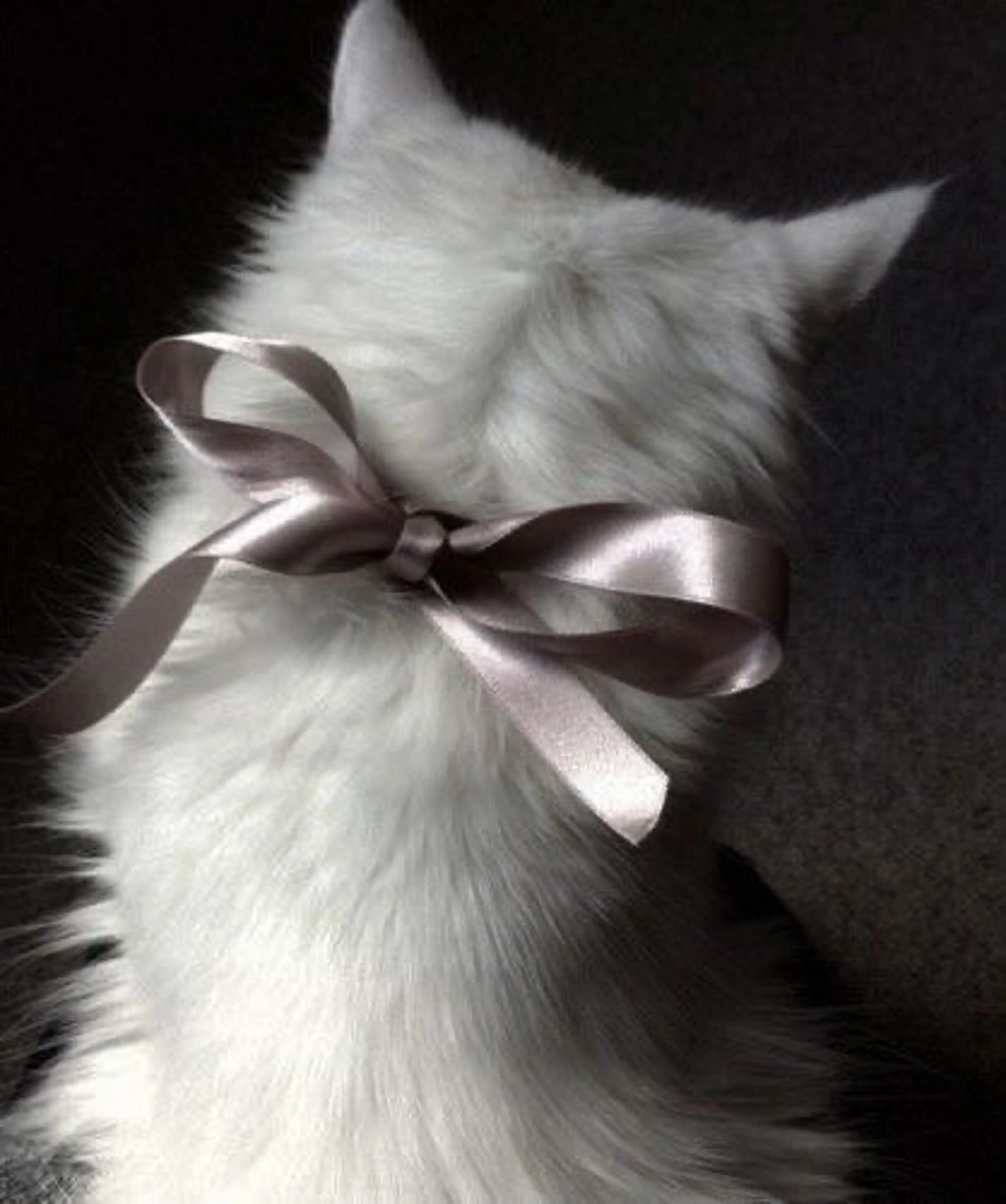 マツエク・マツパ B☆star ミユウ🩶のマツエク・マツパデザイン