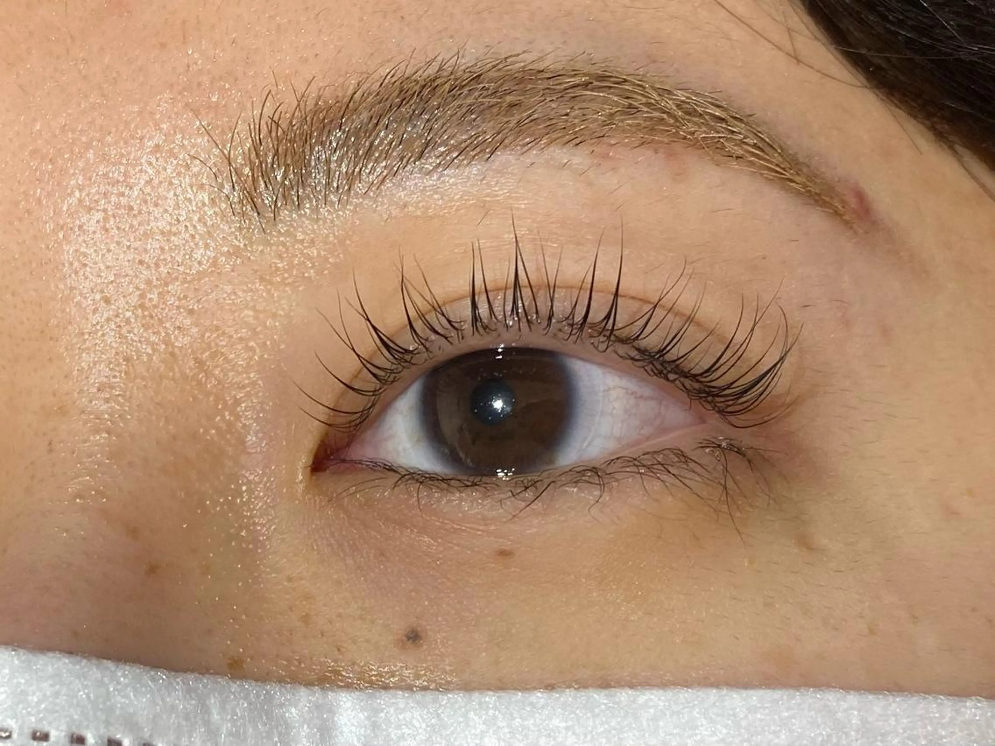 マツエク・マツパ パリジェンヌラッシュリフト マツパ mocca🕊🫧 ayamiのマツエク・マツパデザイン