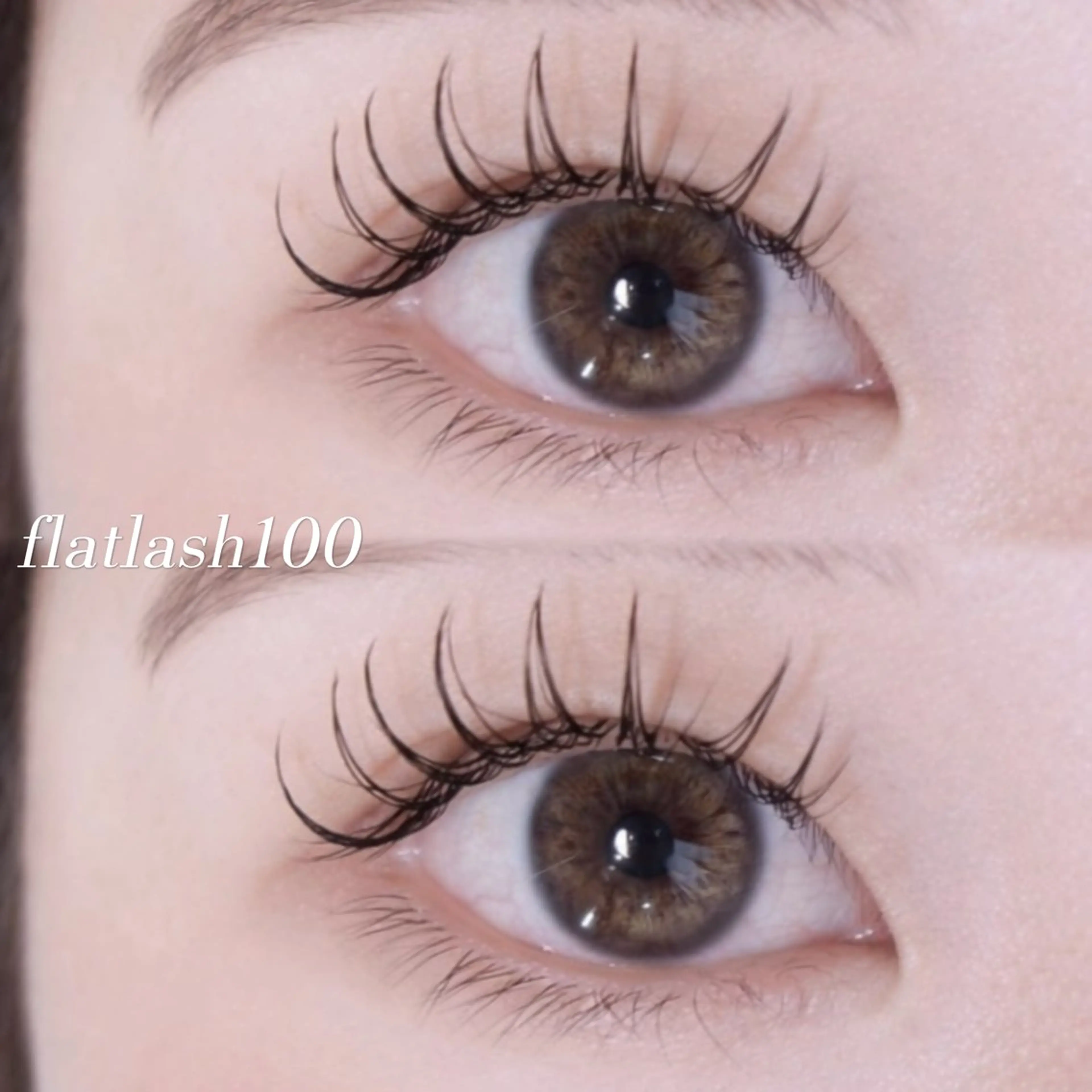 【しっかり盛れ⭐️】フラットラッシュ130本👀🎀コーティング付（オフ込み）の写真