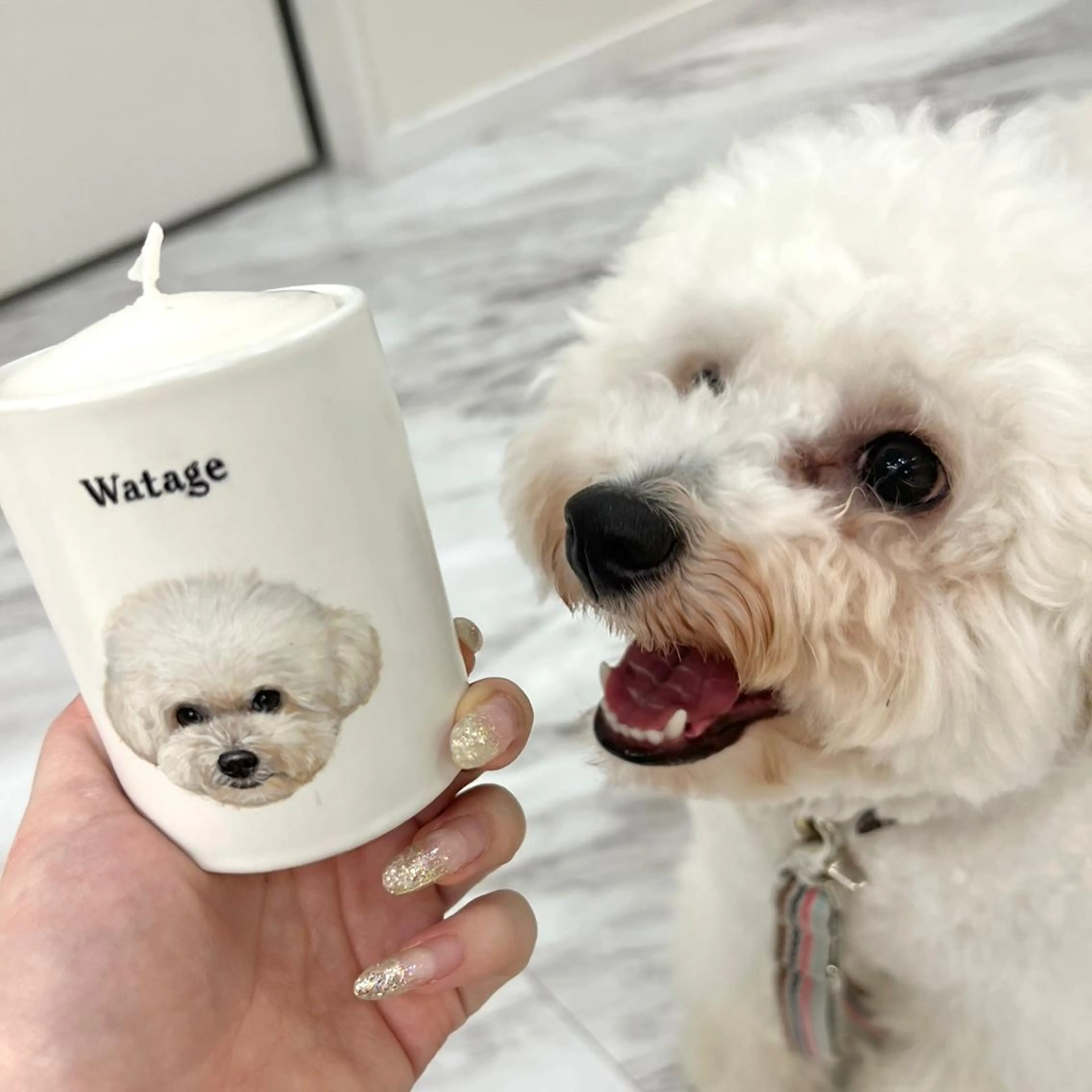 ＬａＬｕｎａ🌙 Natsukiのネイルデザイン