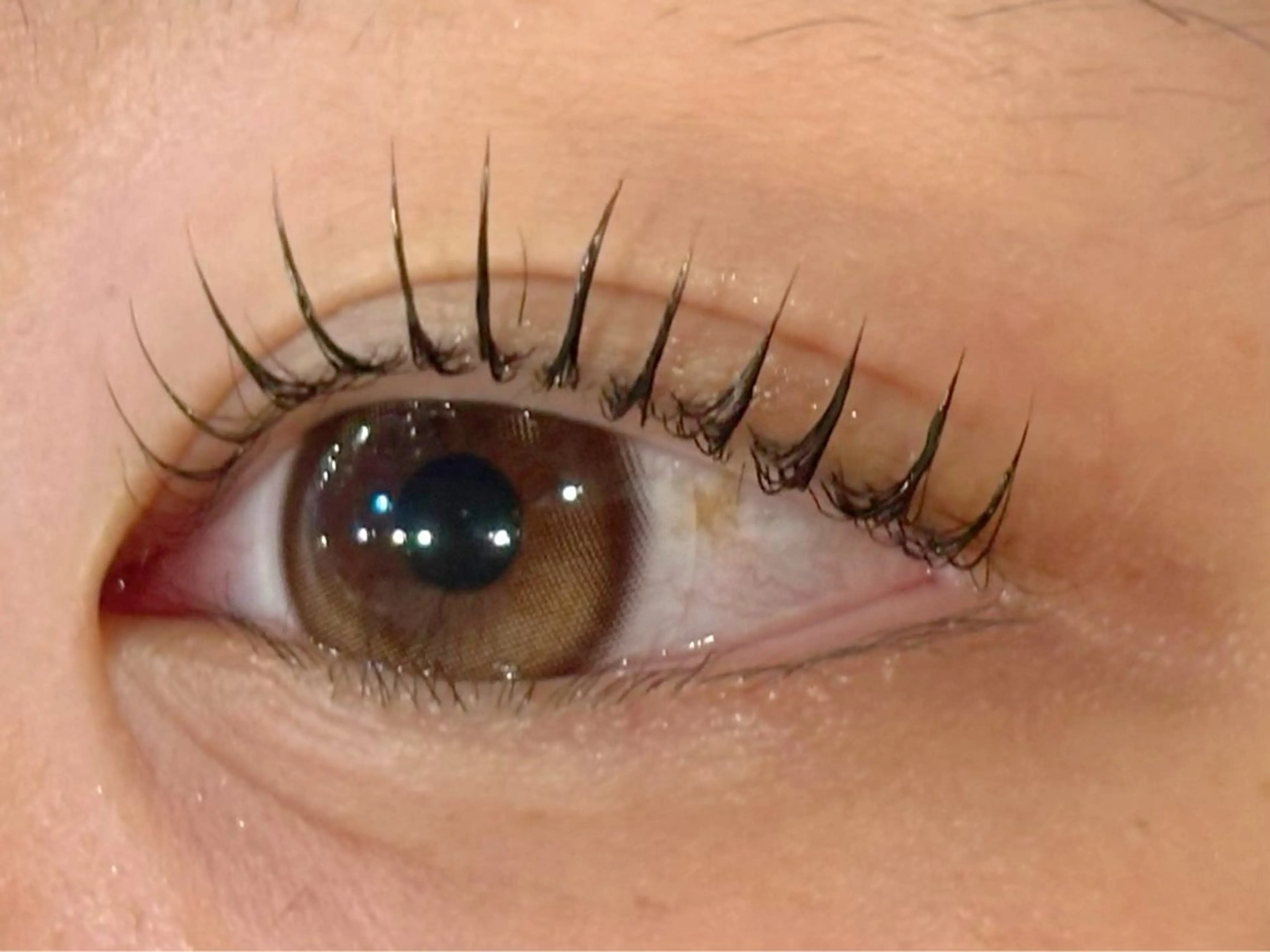 🫧学生限定🫧学割U24/ビューラー式まつげパーマ+まつげ3STEPトリートメント 3000円→2500円の写真