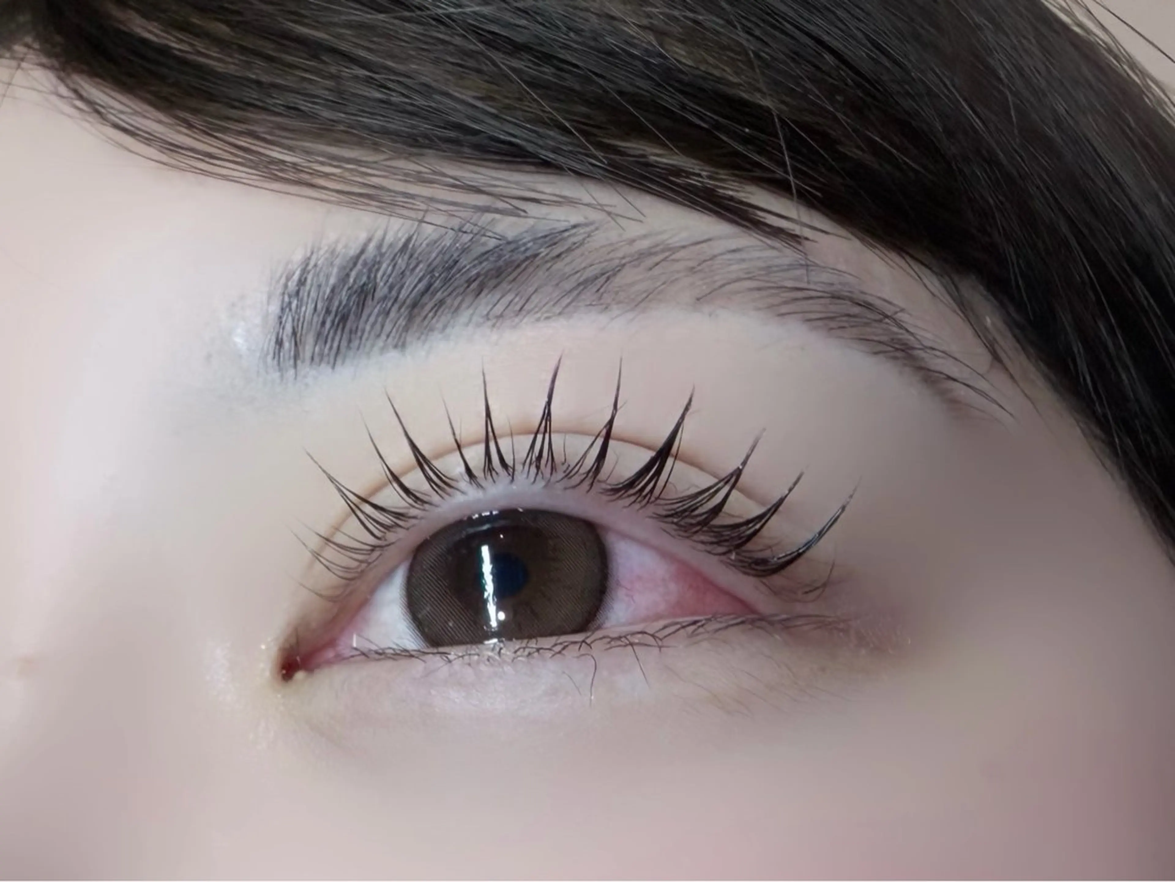 マツエク・マツパ ciena/ ぺいのマツエク・マツパデザイン