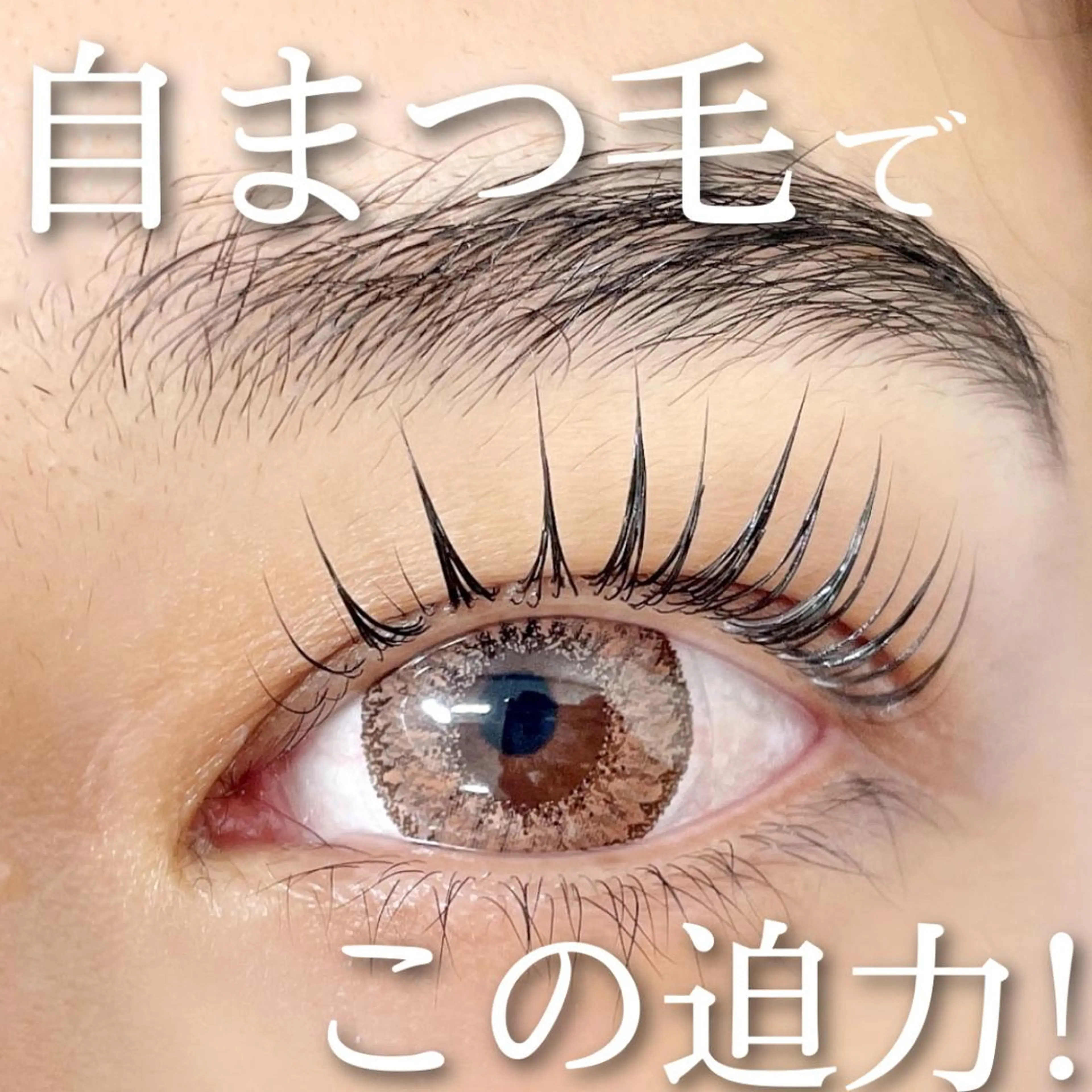 マツエク・マツパ アイブロウ まつげパーマ MAUMU eyelash&eyebrow salon所属・𝙈𝙖𝙠𝙤 ꨄ 束感まつ毛 ꨄ北堀江のマツエク・マツパデザイン