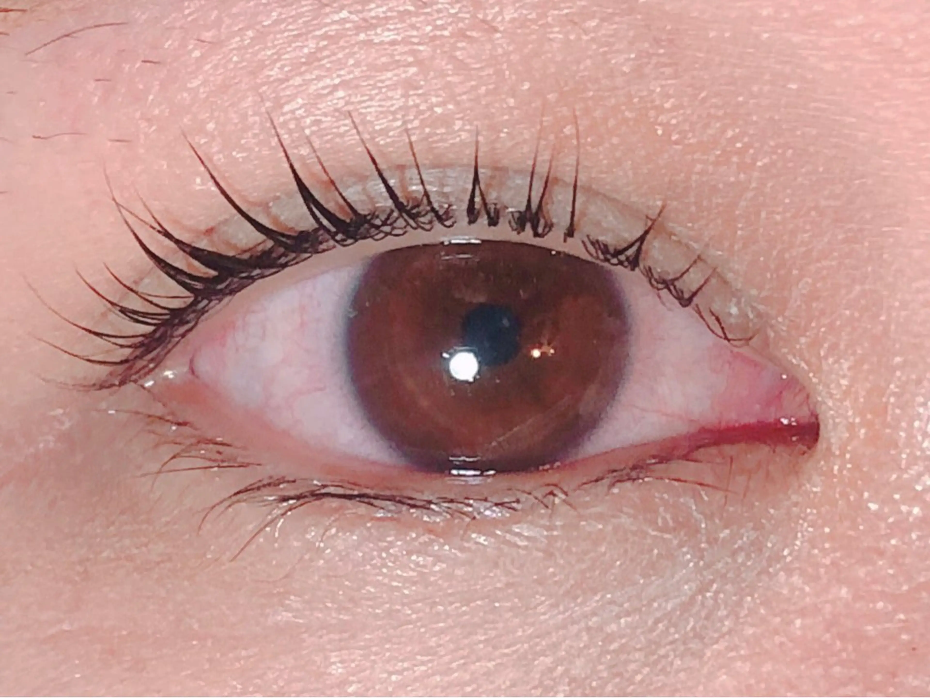 マツエク・マツパ LaMa. Yのマツエク・マツパデザイン