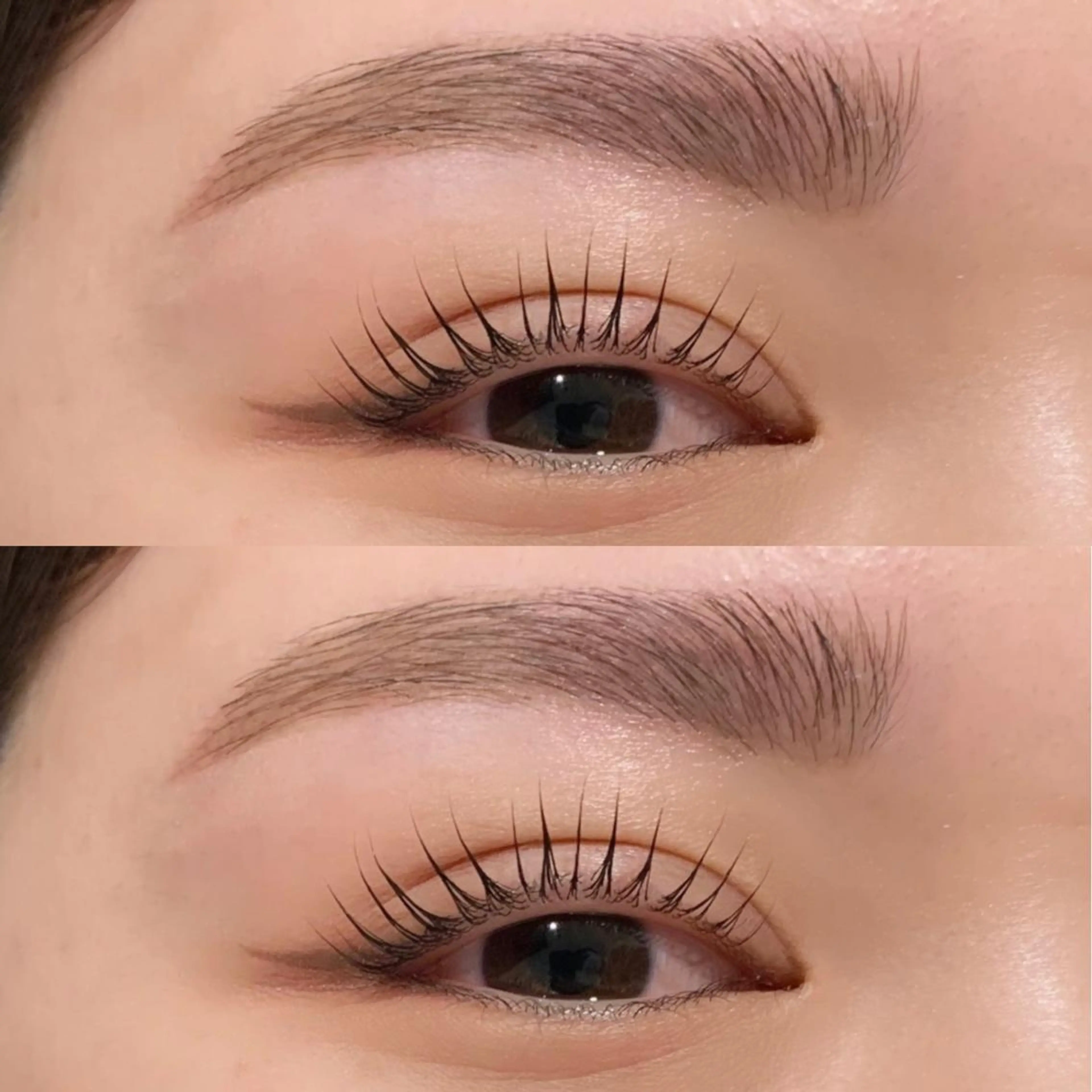 🌿ラッシュリフト× アイブロウwax🌿 （アイシャンプー、ケラチンTR付き）の写真