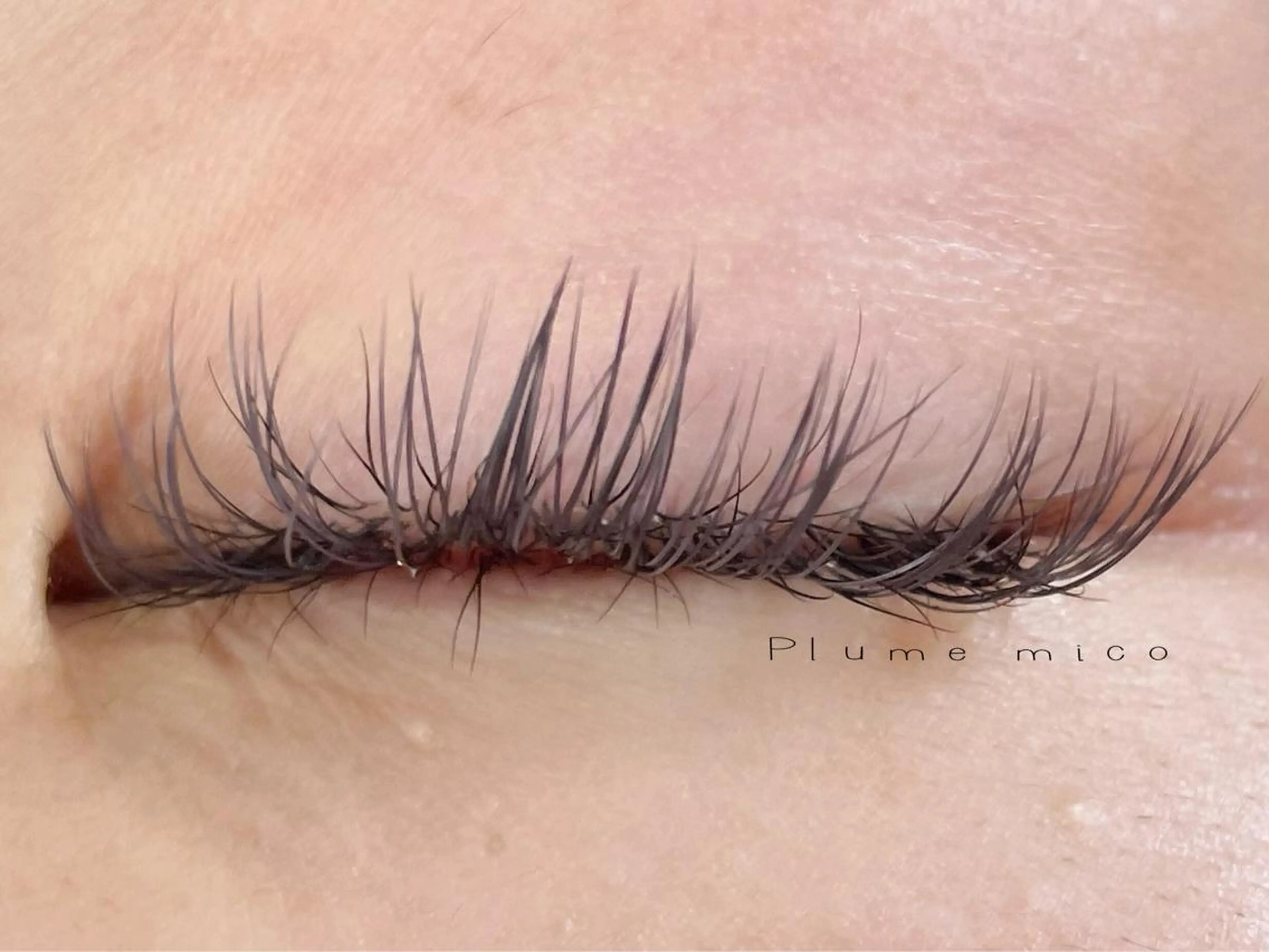 マツエク・マツパ マツエク Plume micoのマツエク・マツパデザイン