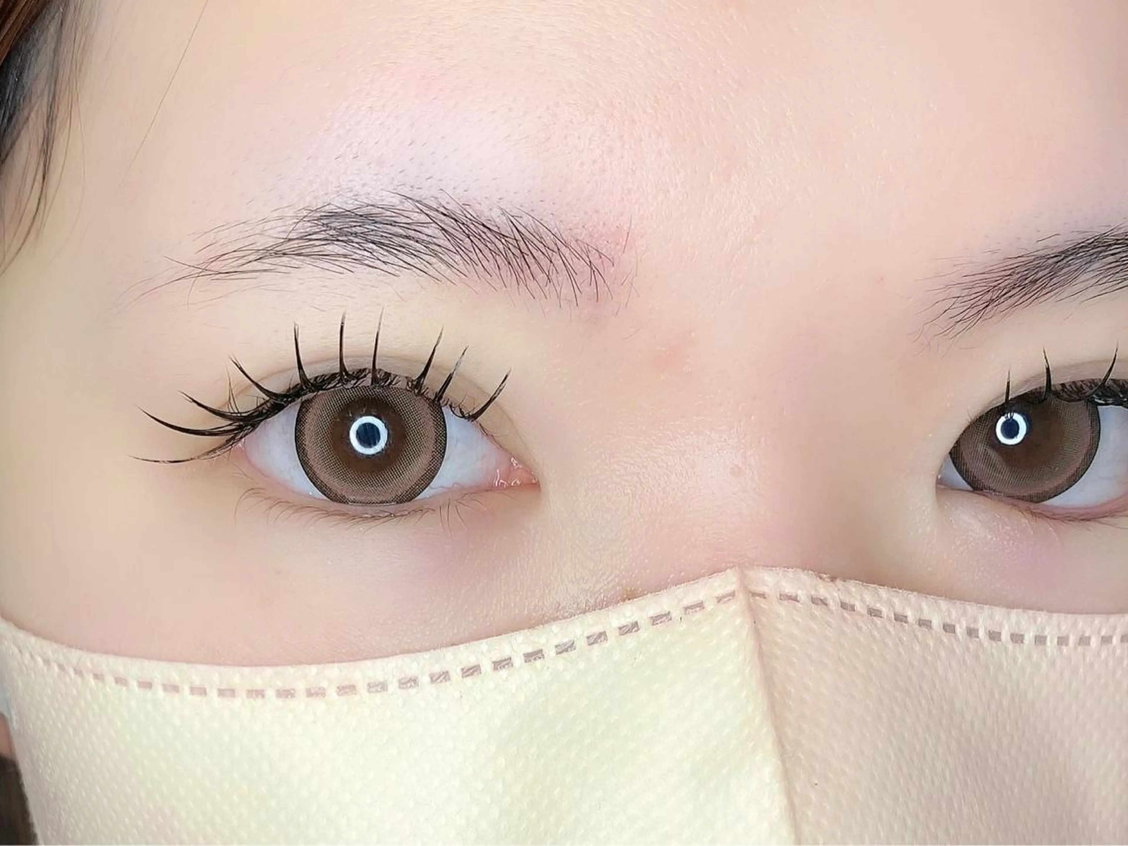 マツエク・マツパ 束感まつ毛 フラットラッシュ 韓国風マツエク パリジェンヌラッシュリフト ボリュームラッシュ 肌に馴染むハイトーン /ミルクティーカラーのヘアスタイル