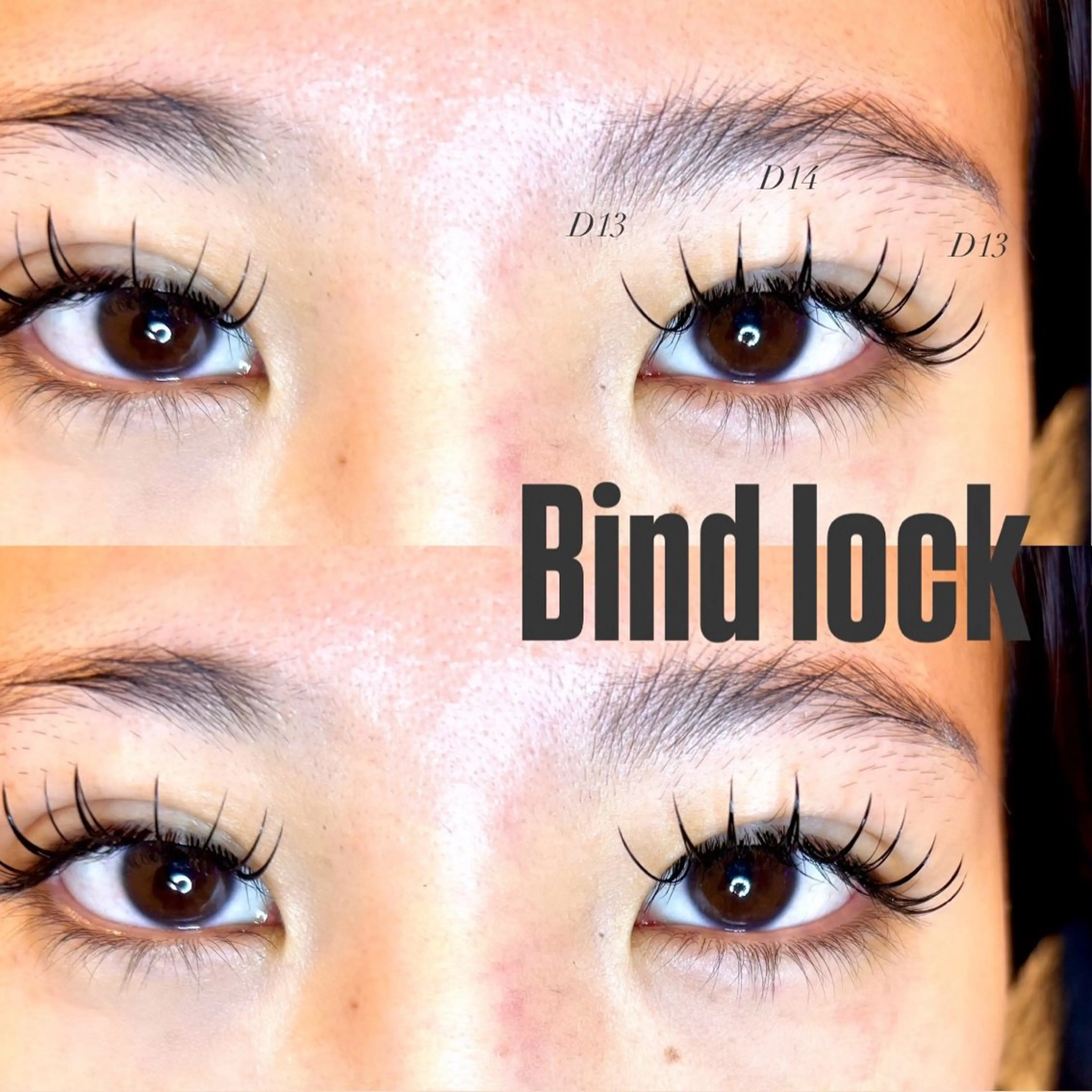 【クイックメニュー🌷】【地域最安値】バインドロック120本(40束)の写真