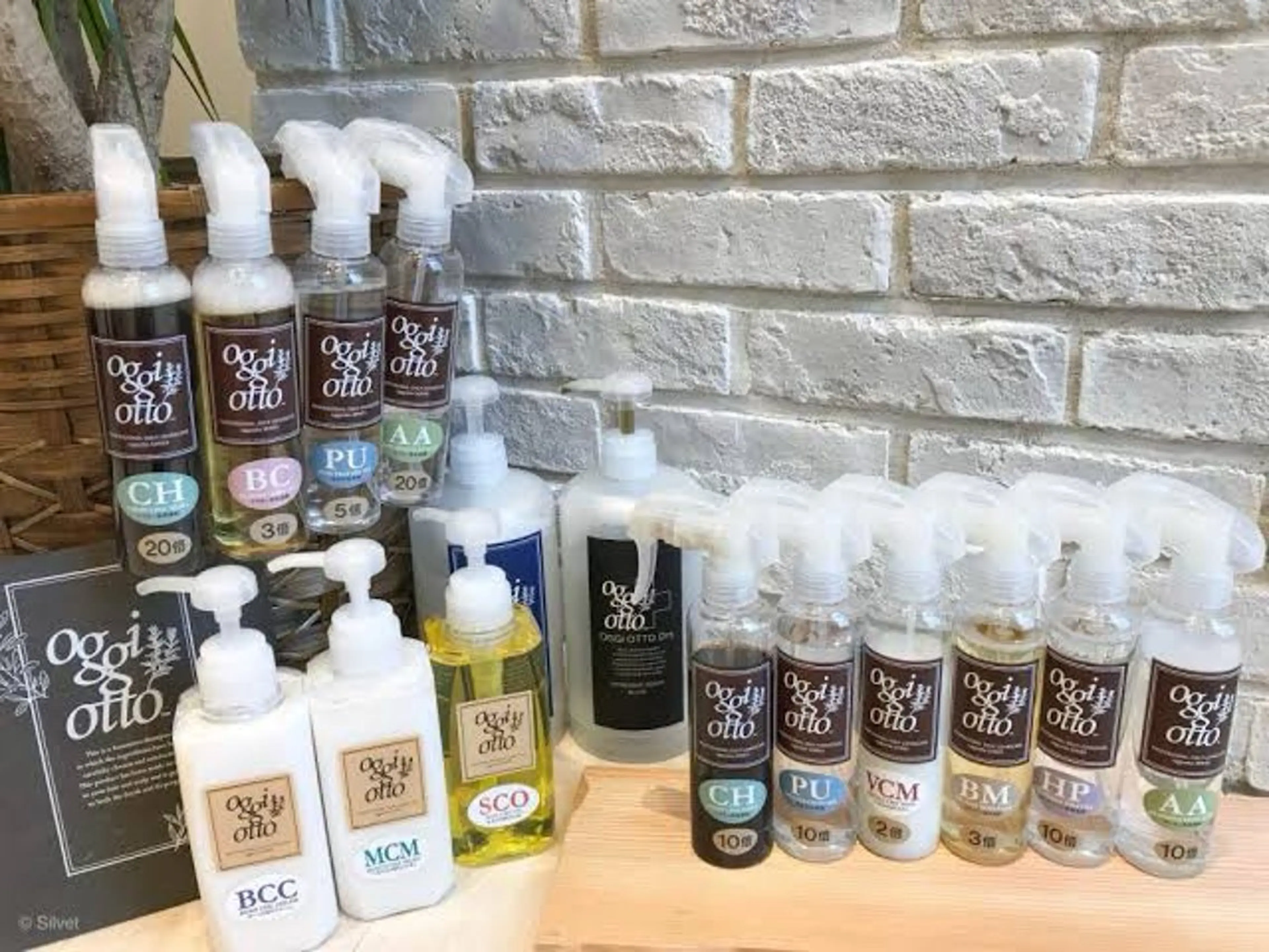 トリートメント 似合わせカット✂️ 赤阪 隼🐧のヘアスタイル