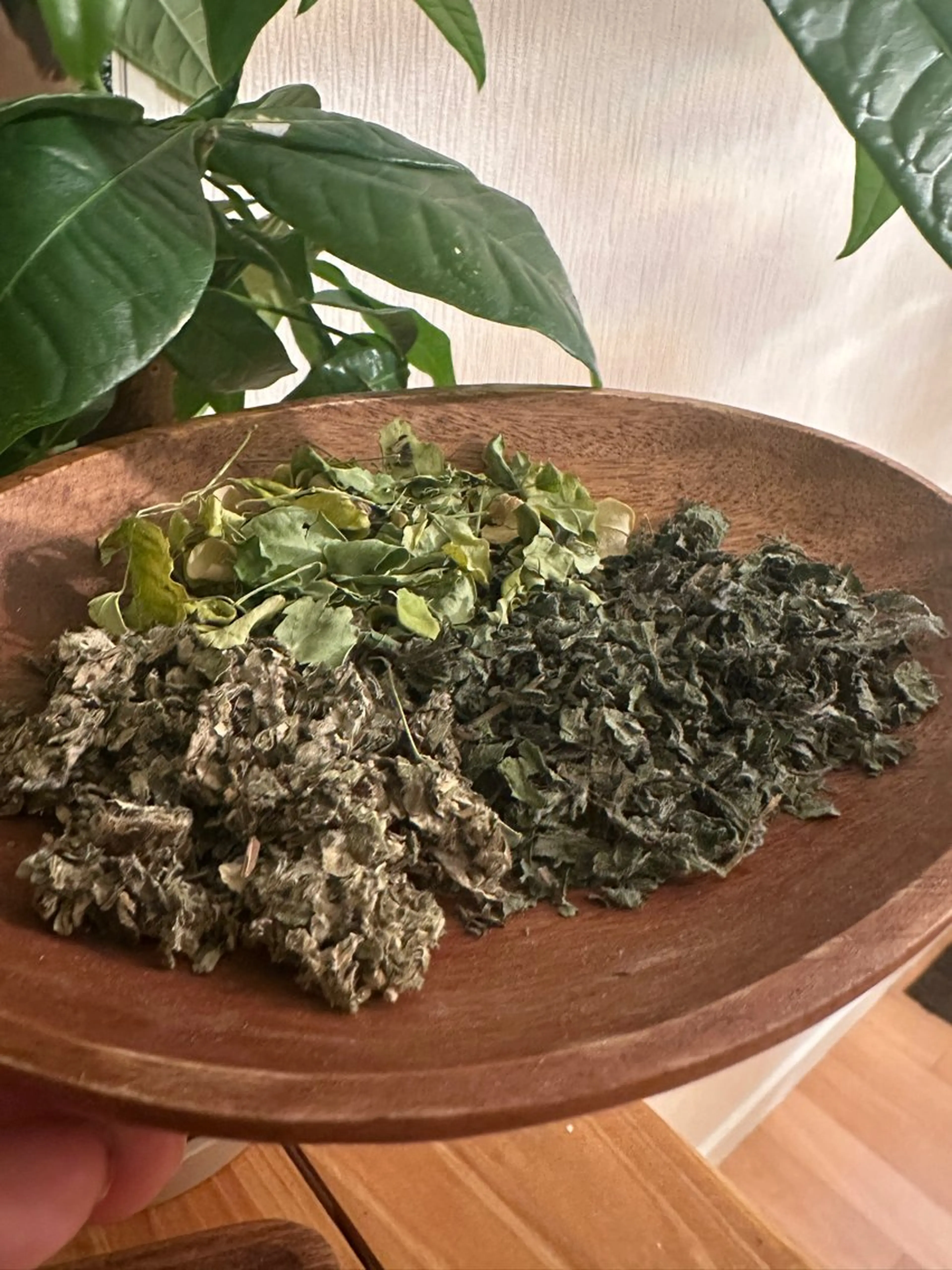 黄土よもぎ蒸し30分+ドライヘッドスパ30分 合計60分の写真