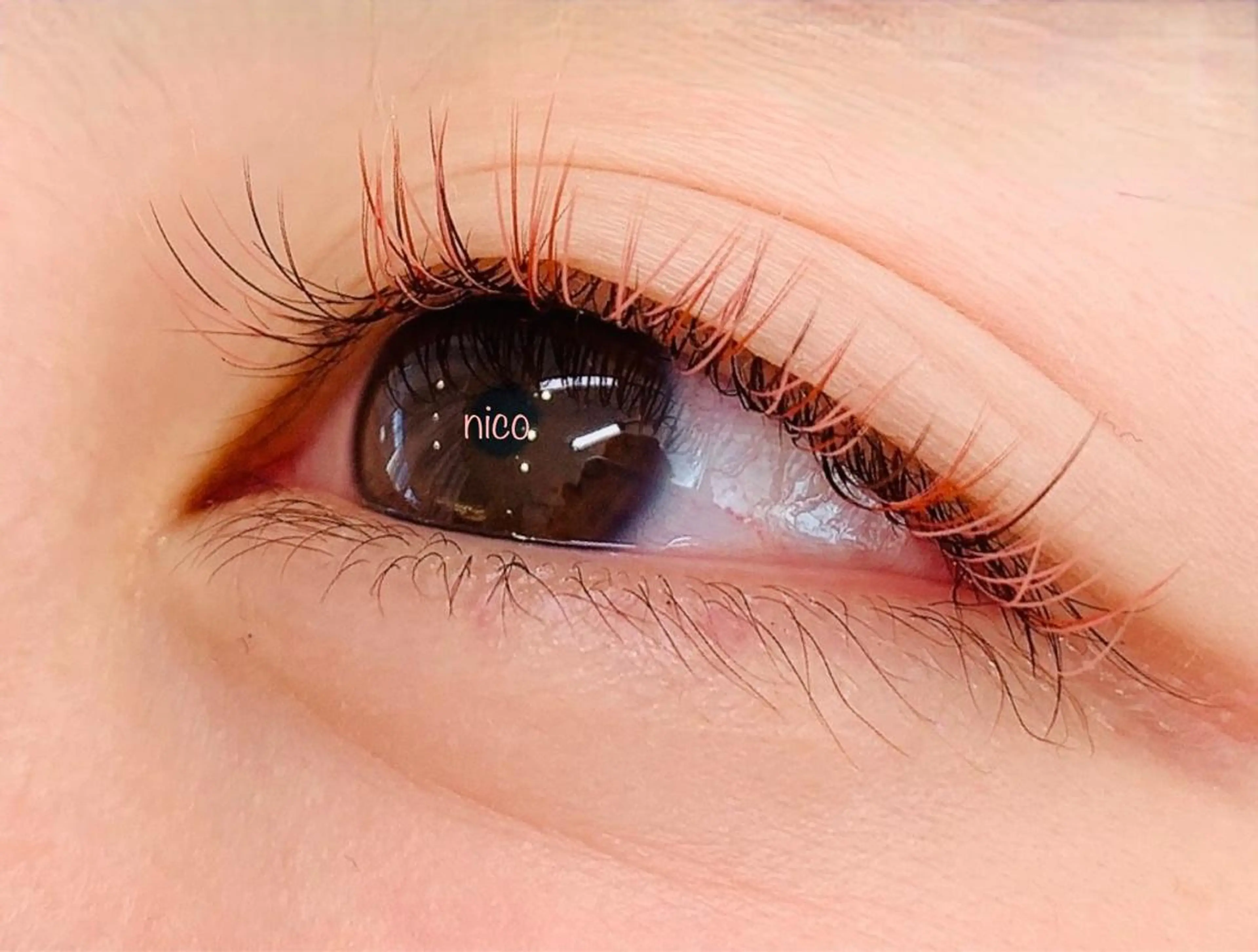 マツエク・マツパ nico所属・Shiho 🌼のマツエク・マツパデザイン