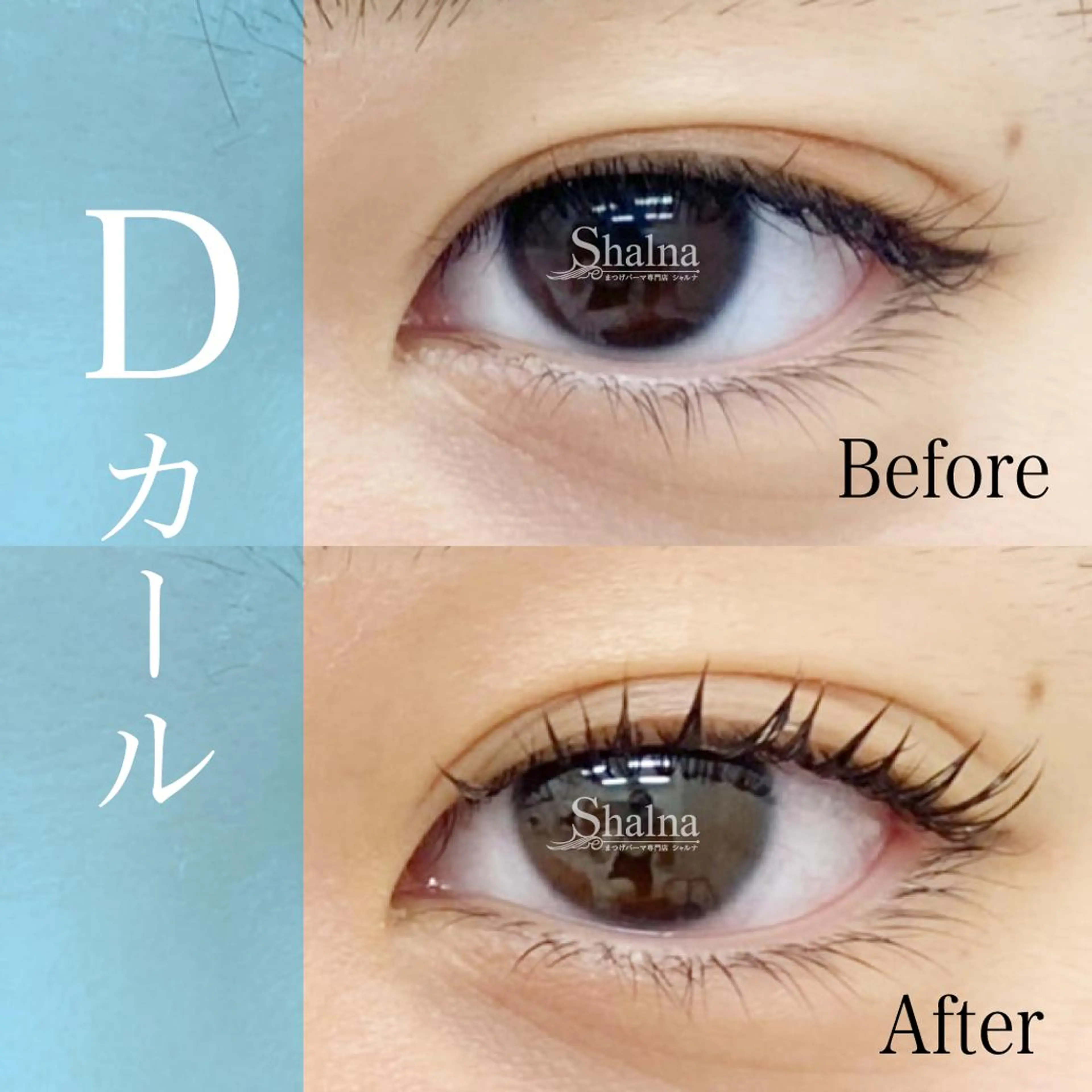 マツエク・マツパ Dカール まつげパーマ まつげパーマ専門店 シャルナ　新宿店のマツエク・マツパデザイン