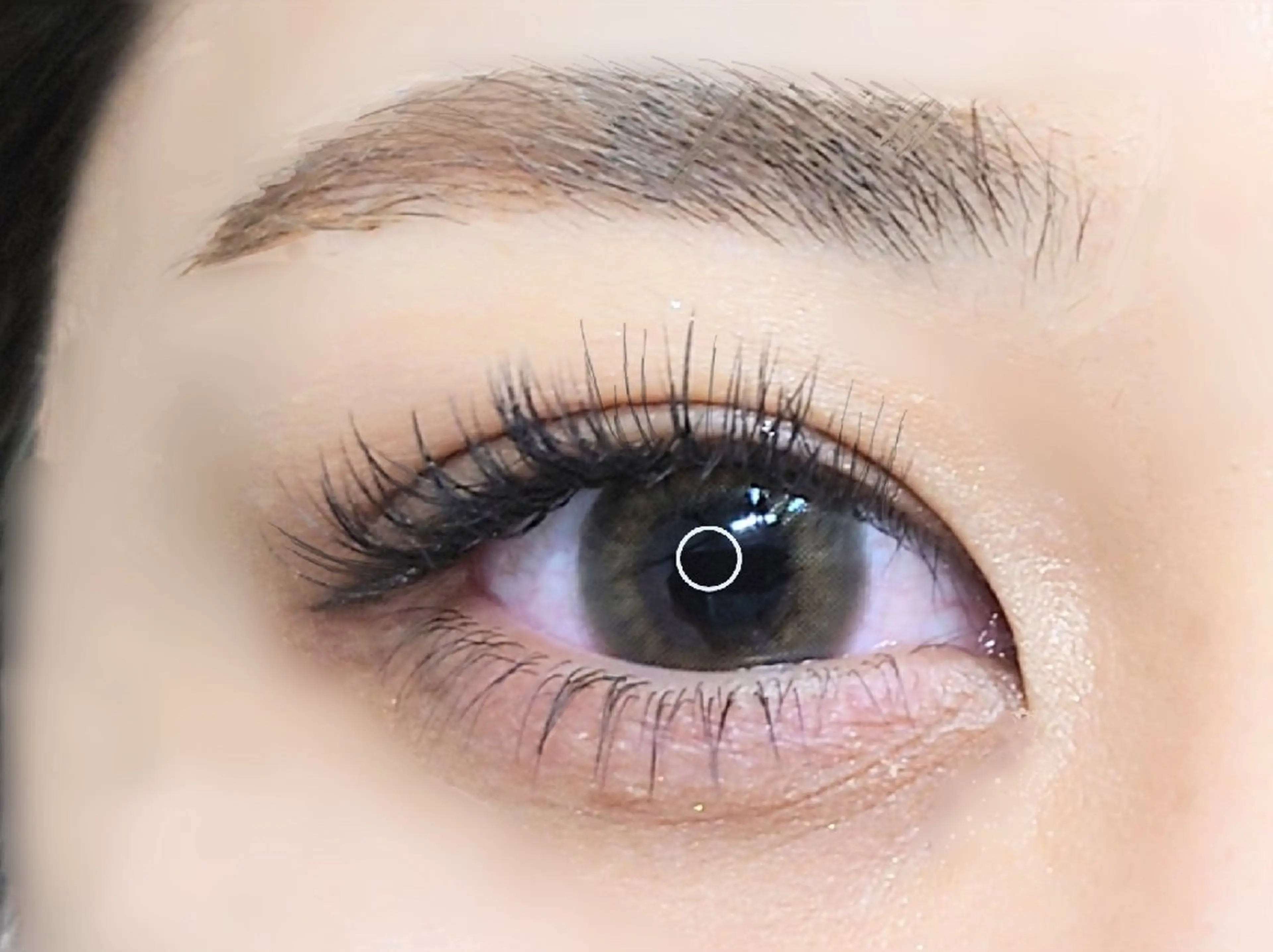 【下まつ毛パーマ】🦩逆まつげ対策にも🦩✨の写真