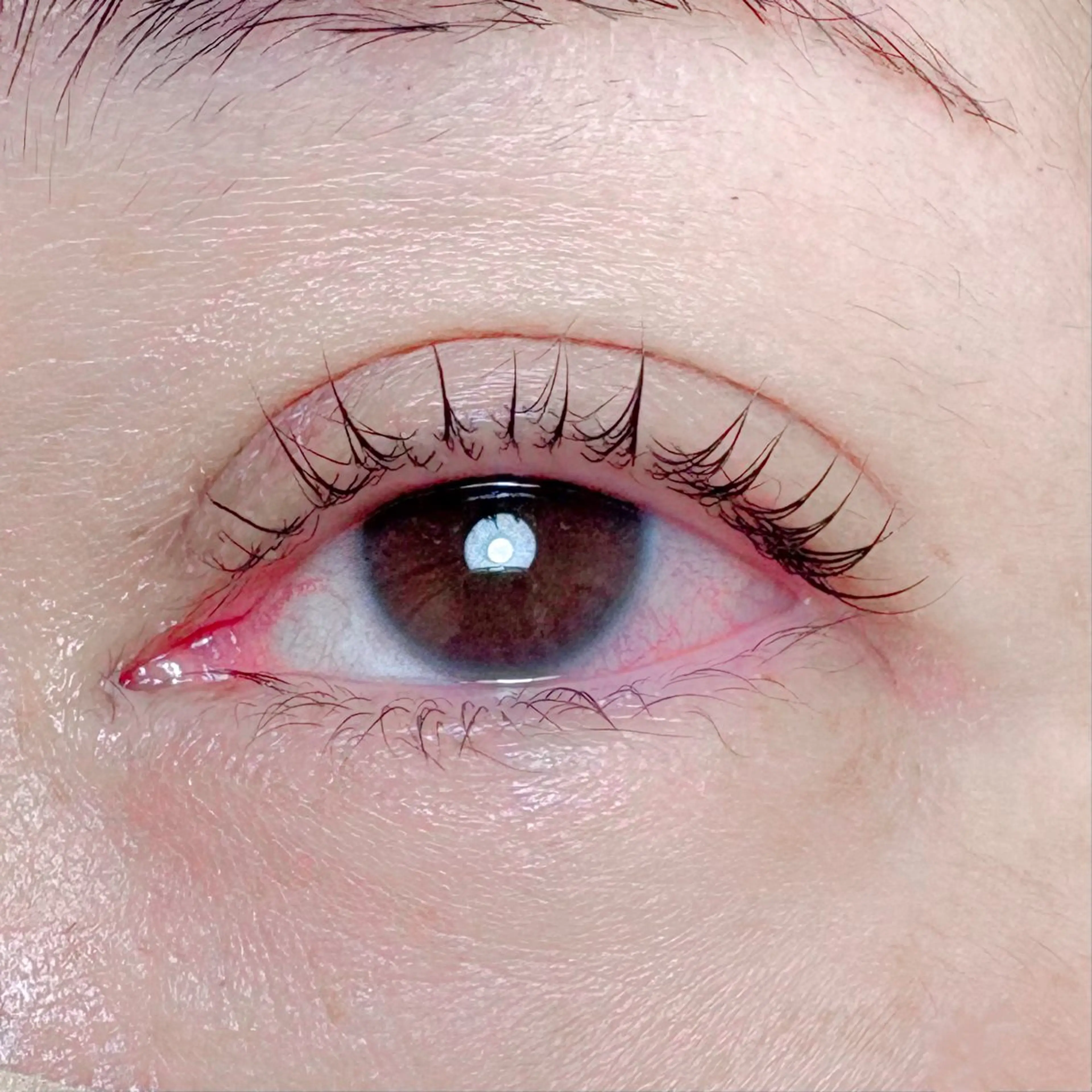 マツエク・マツパ マツパ Momonails Shoのマツエク・マツパデザイン