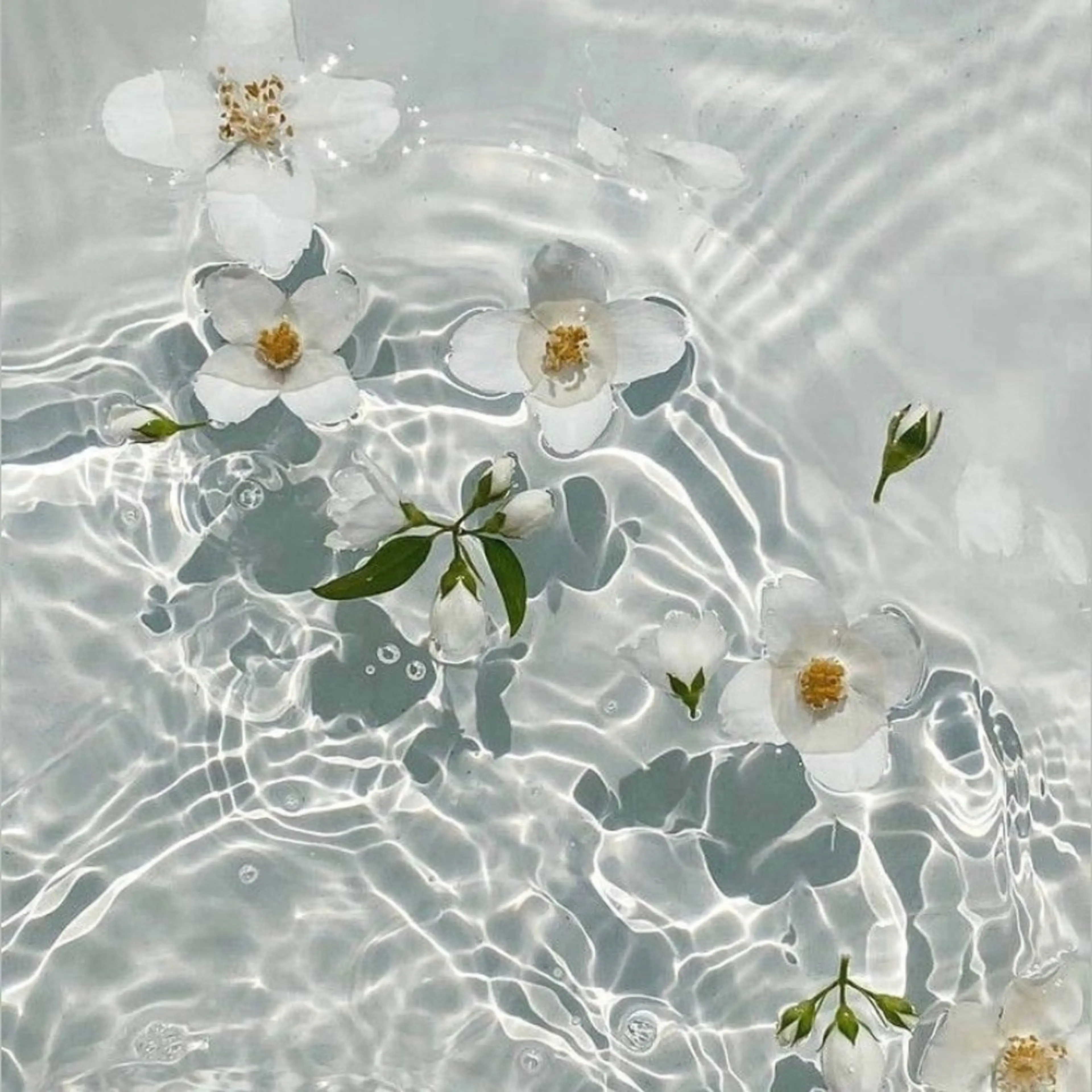 リスブラン AKARIのマツエク・マツパデザイン