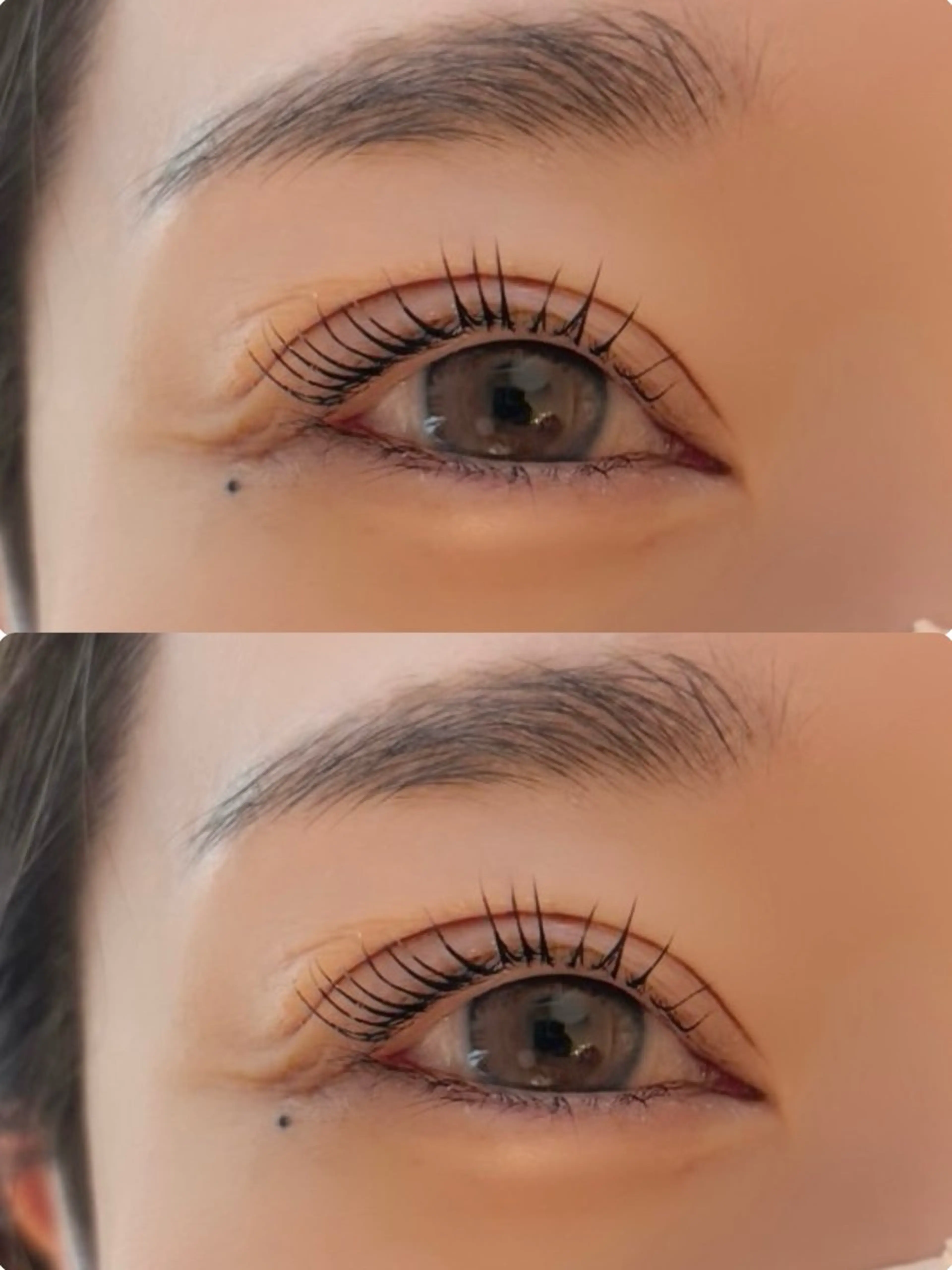 デビュー特別価格マツパ¥3000の写真