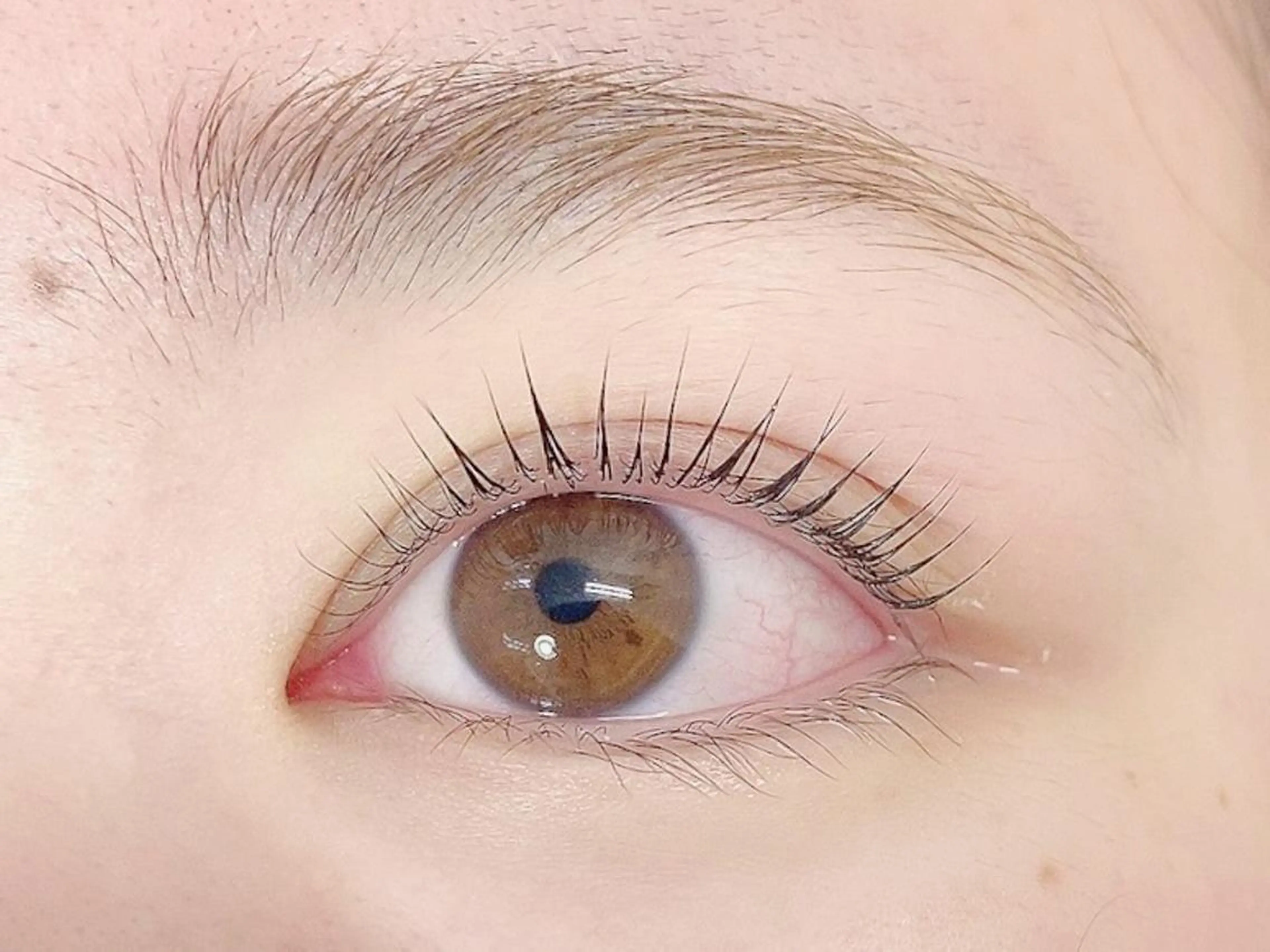 🌟大人気！🌟パリジェンヌラッシュリフトorデザインパーマの写真