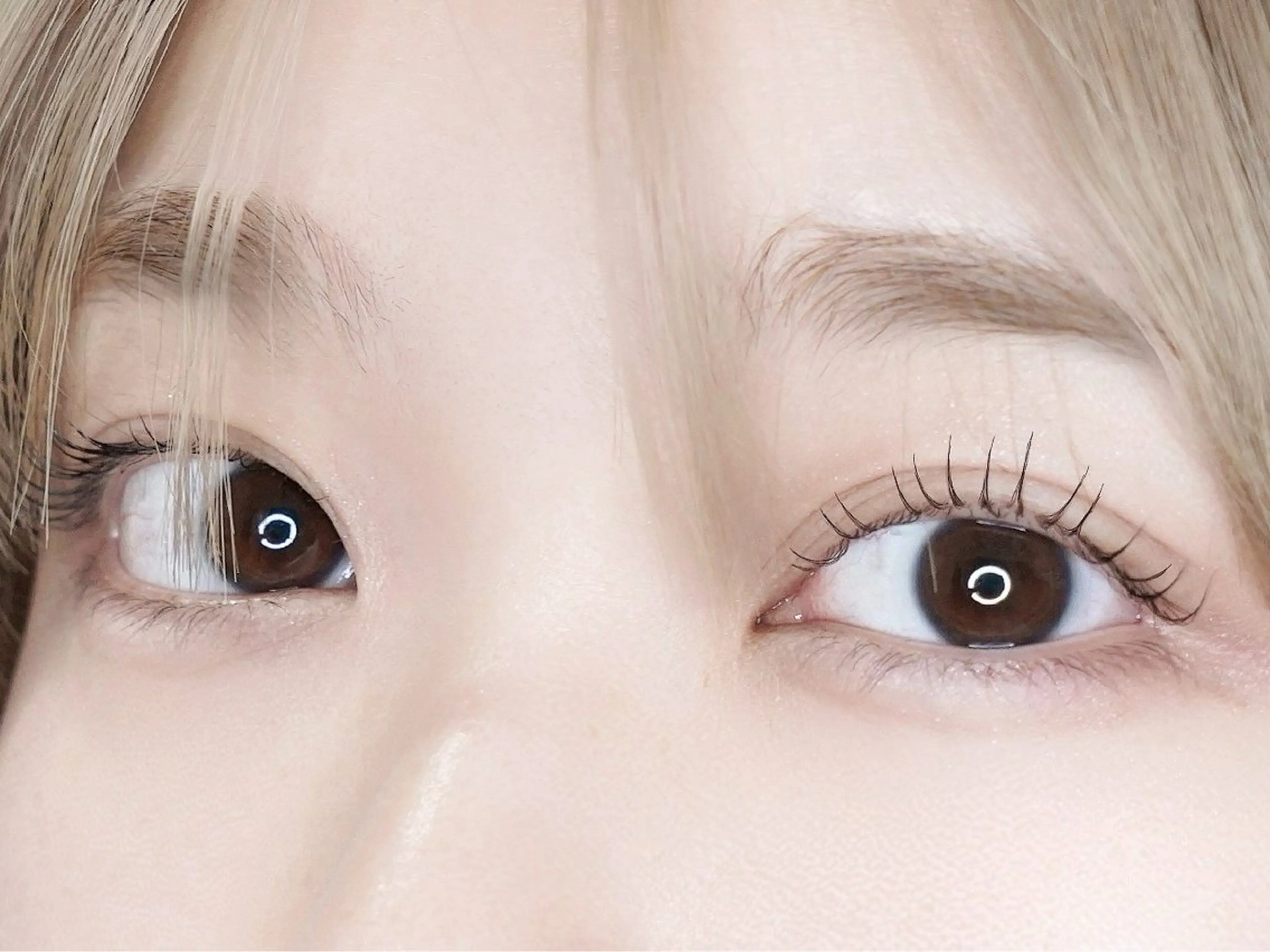 4月限定 【限定モデル】🐩🌷上パリジェヌ※アイリストチェック入ります🪞※補足説明を必ずご覧ください！の写真